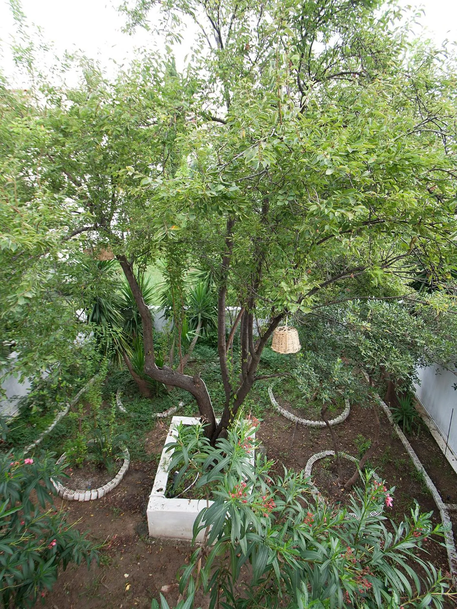 Garden in LAURA Skiathos