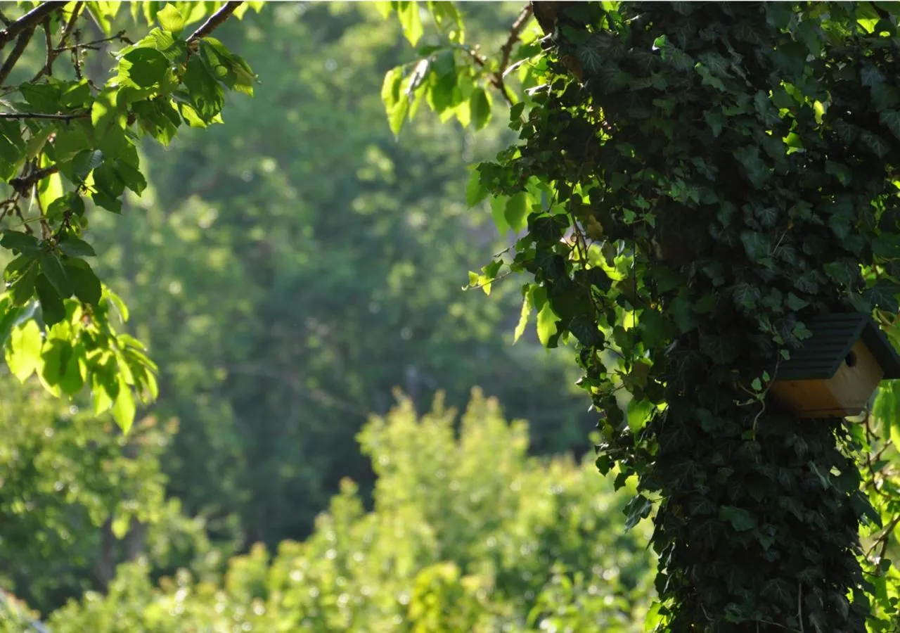 Off site in Room In Ekestad