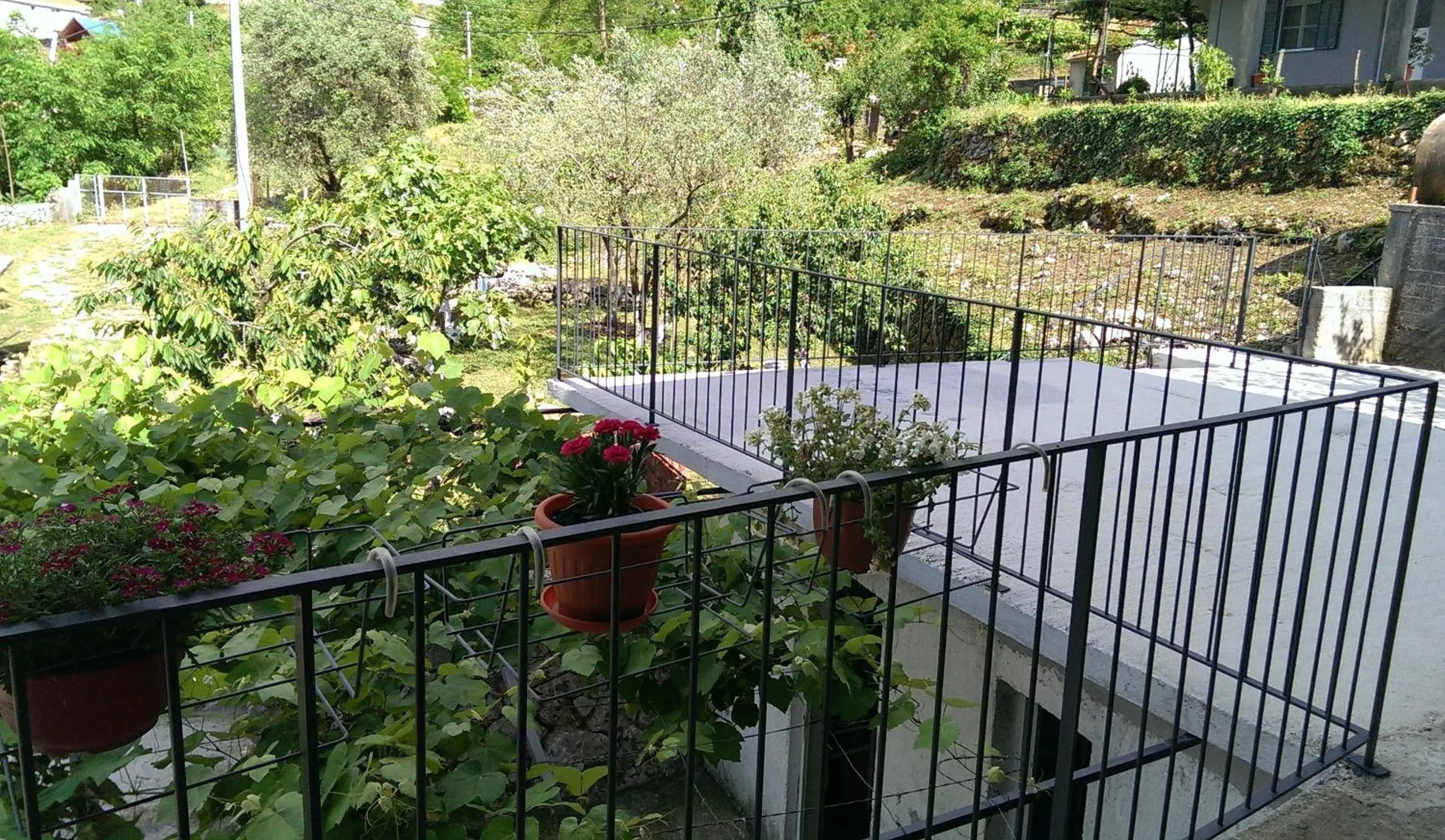 Balcony/Terrace in Olive Apartment