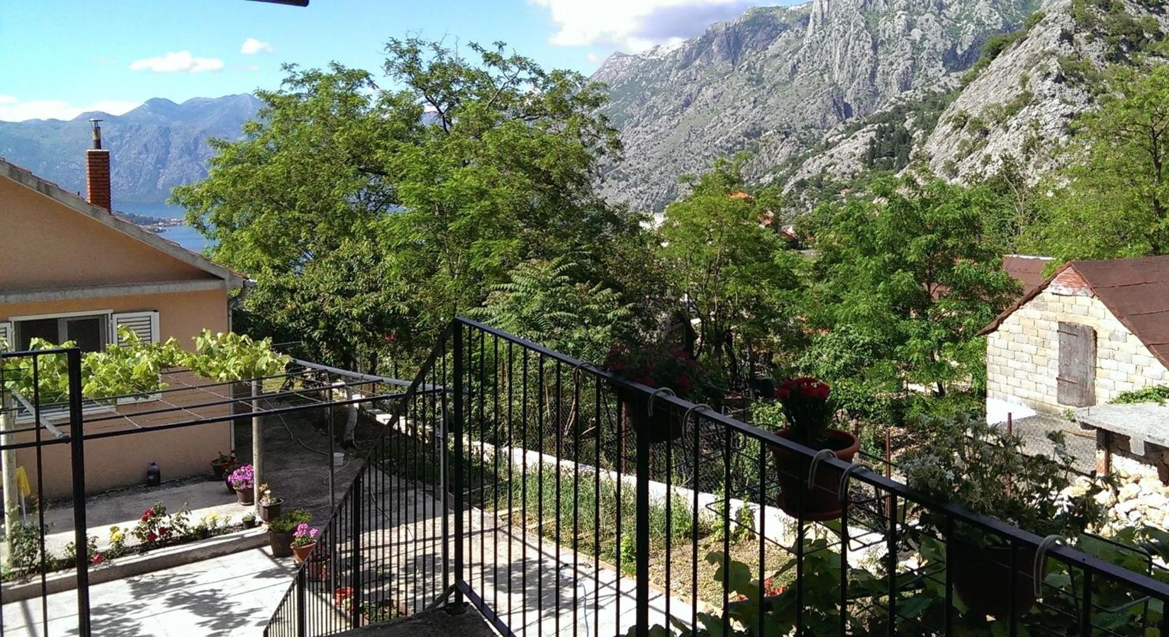 Garden view in Olive Apartment