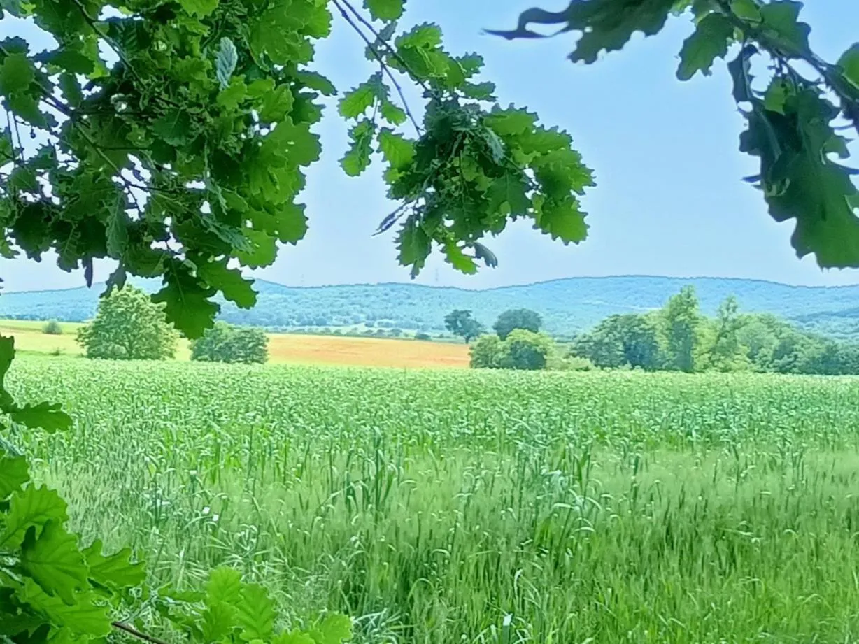 Natural landscape in Il Giardino nell'Orto
