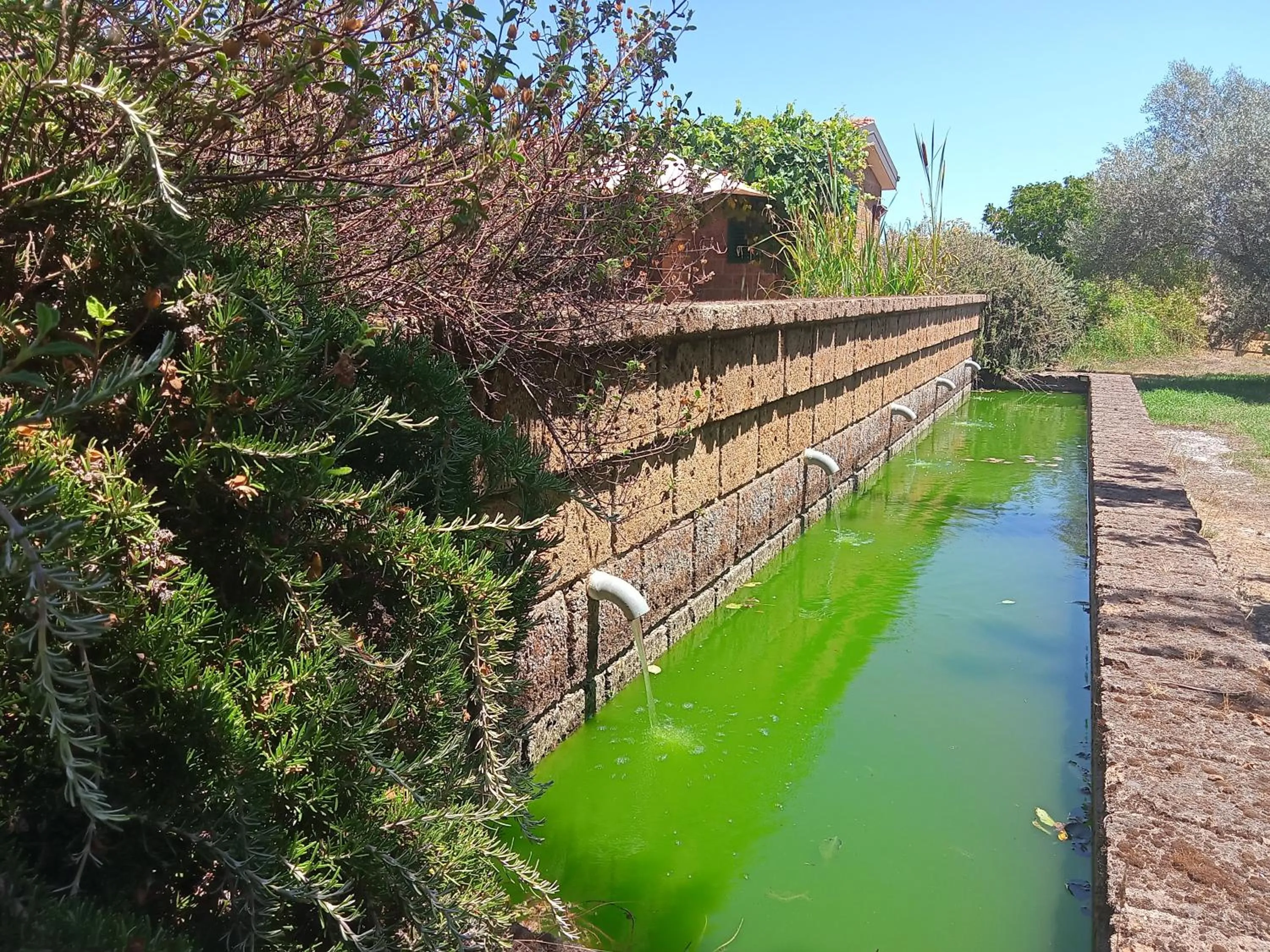 Il Giardino nell'Orto
