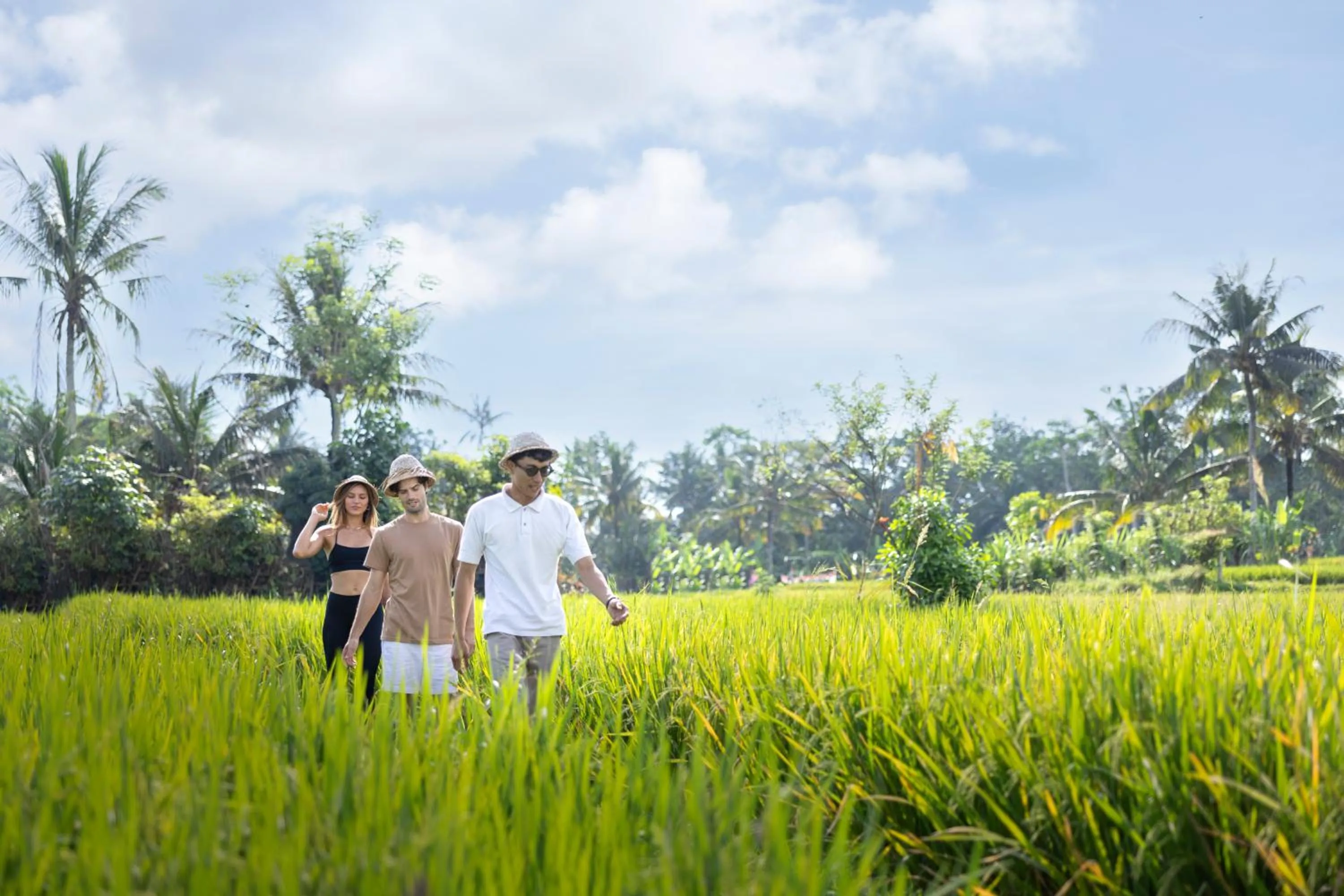 Day in Anumana De Suite