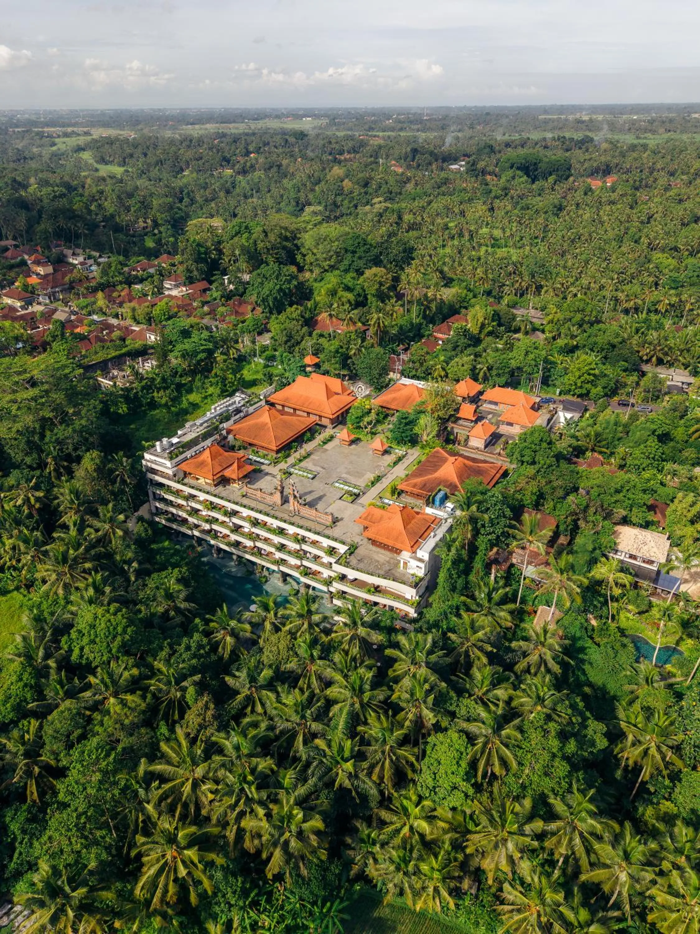 Natural landscape in Anumana De Suite