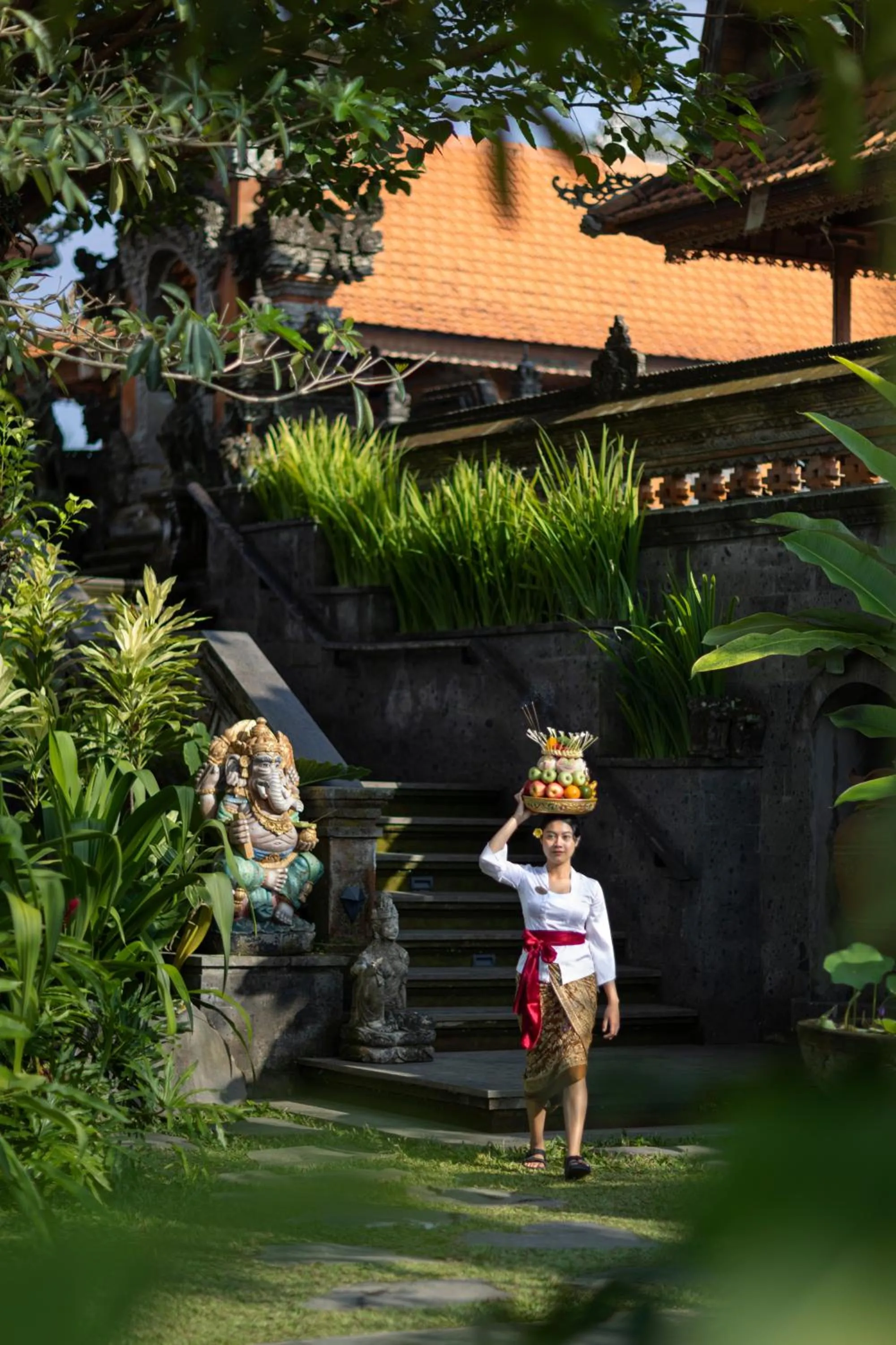 Day in Anumana De Suite