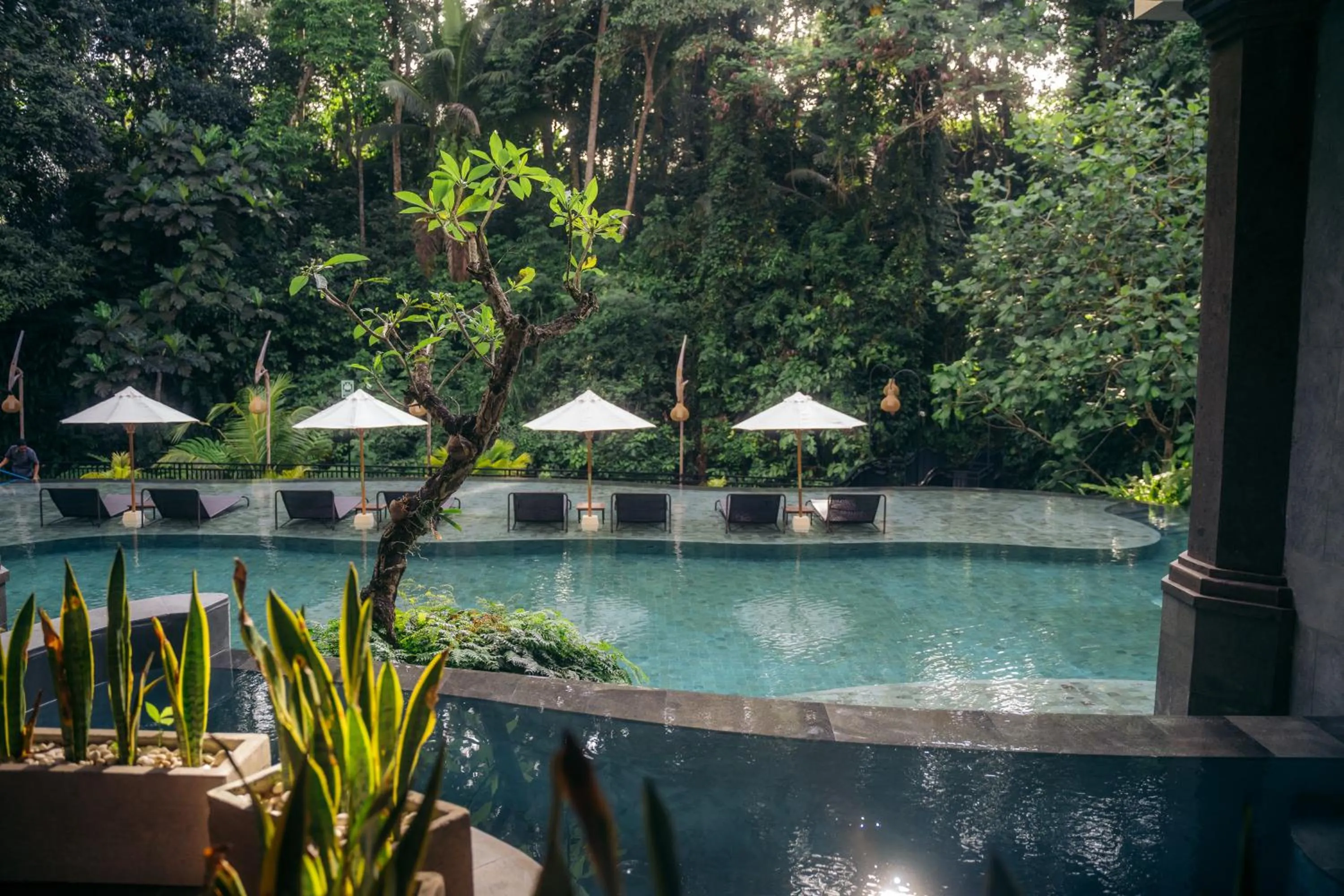Natural landscape in Anumana De Suite