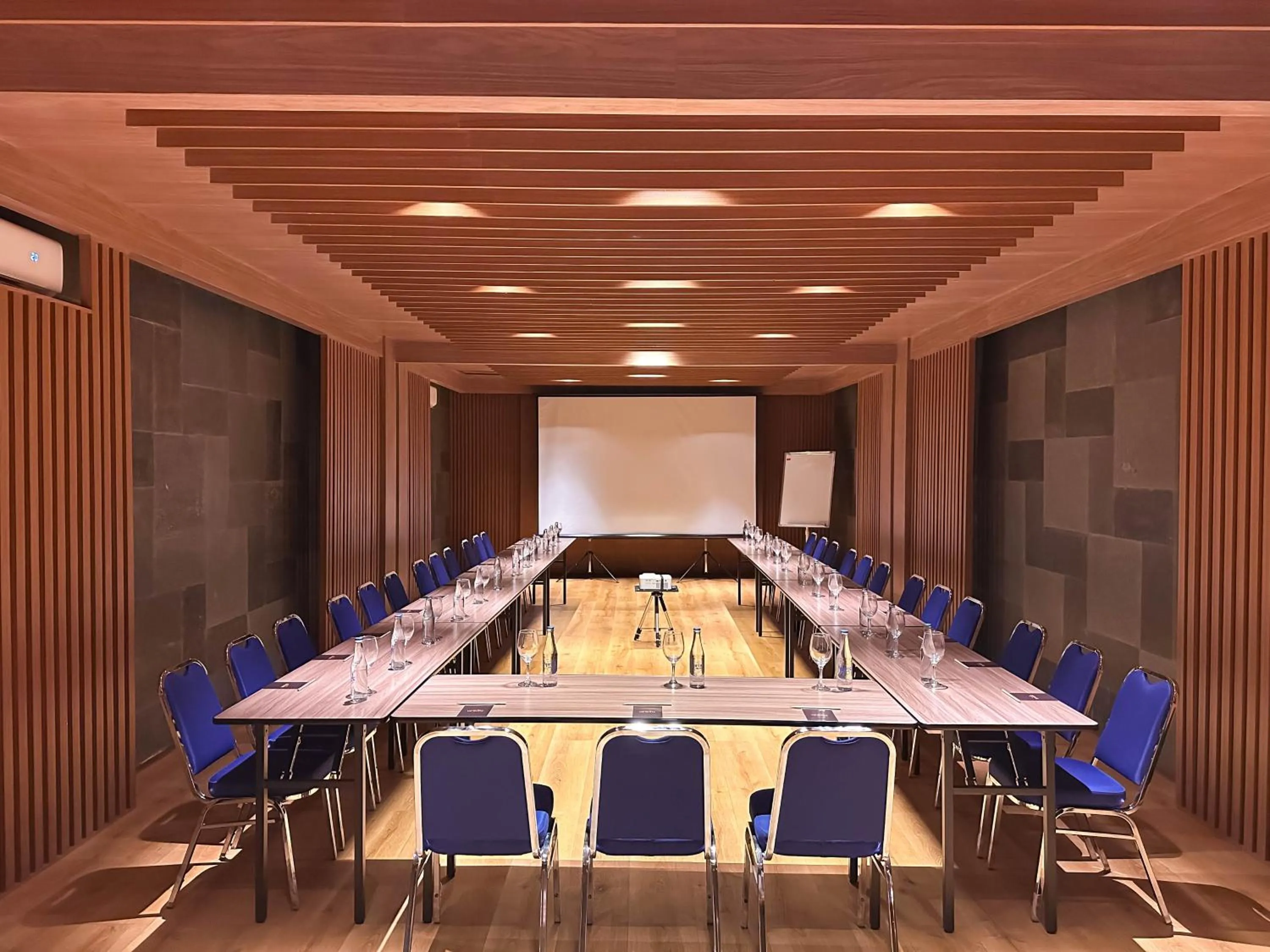 Business facilities in Anumana De Suite