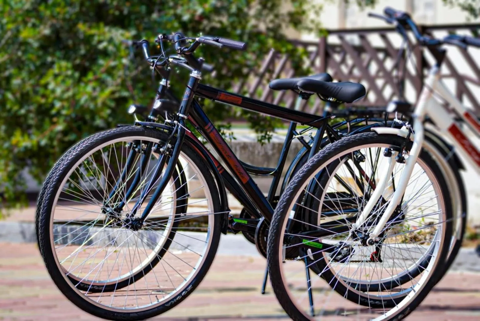 Cycling in Hotel Bastione