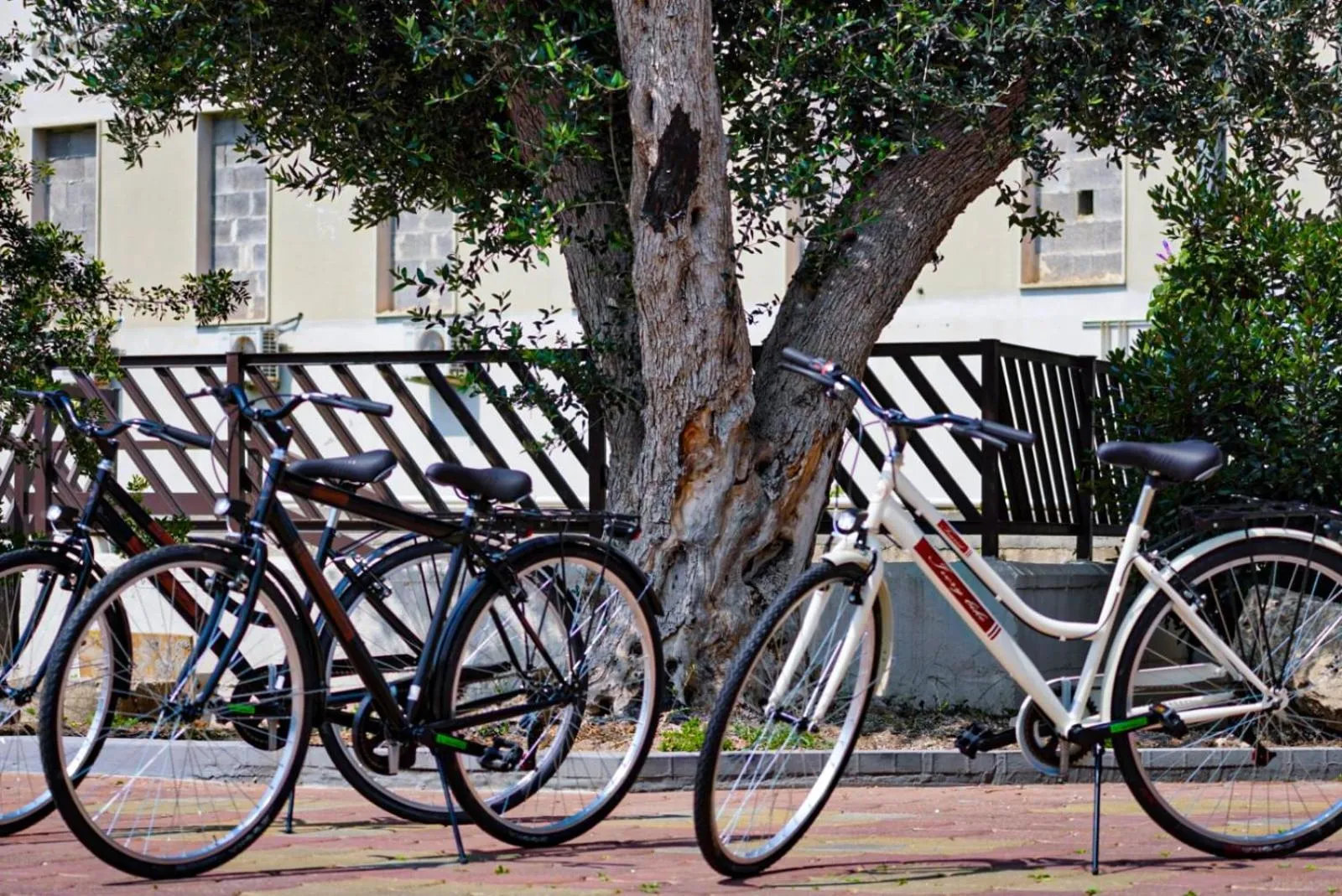 Cycling in Hotel Bastione