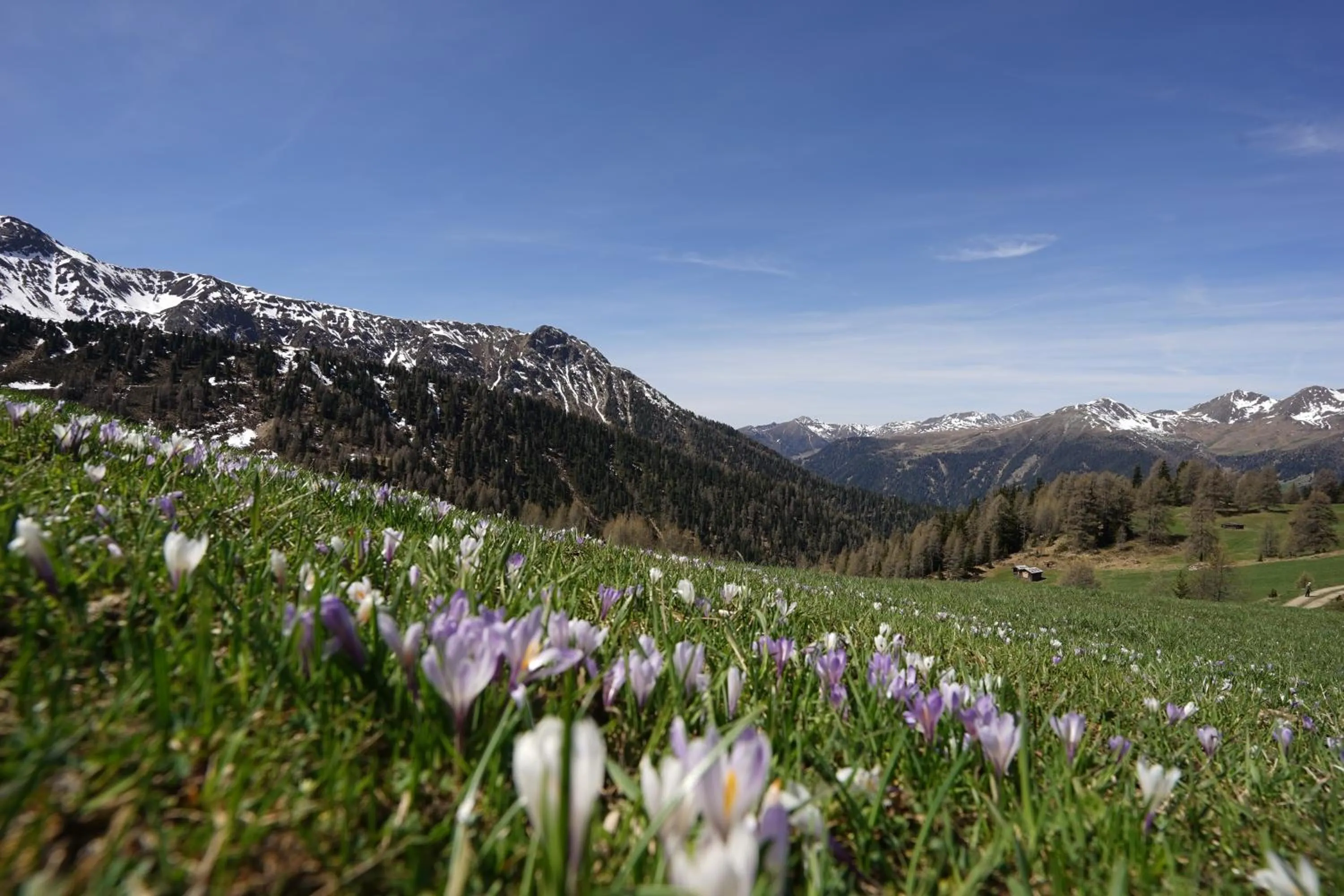 Spring in Unterhabererhof