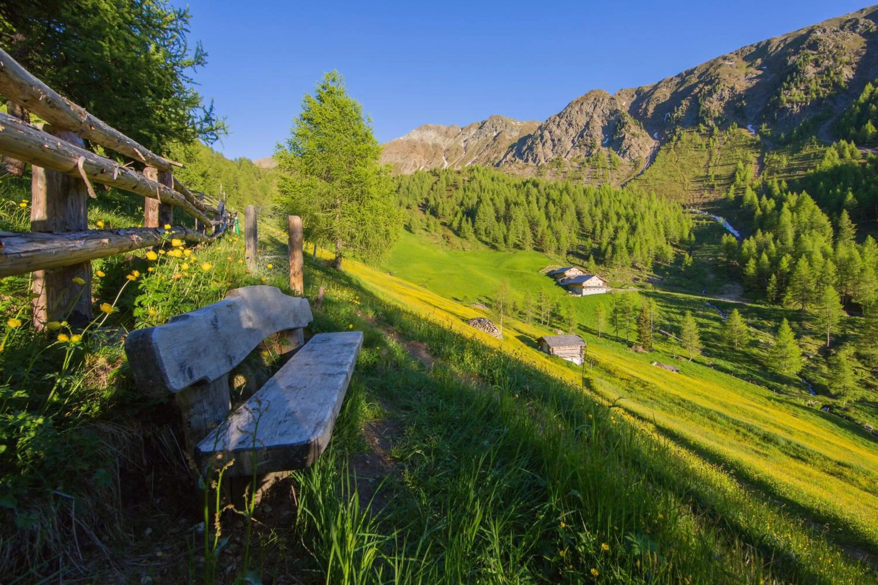 Summer in Unterhabererhof