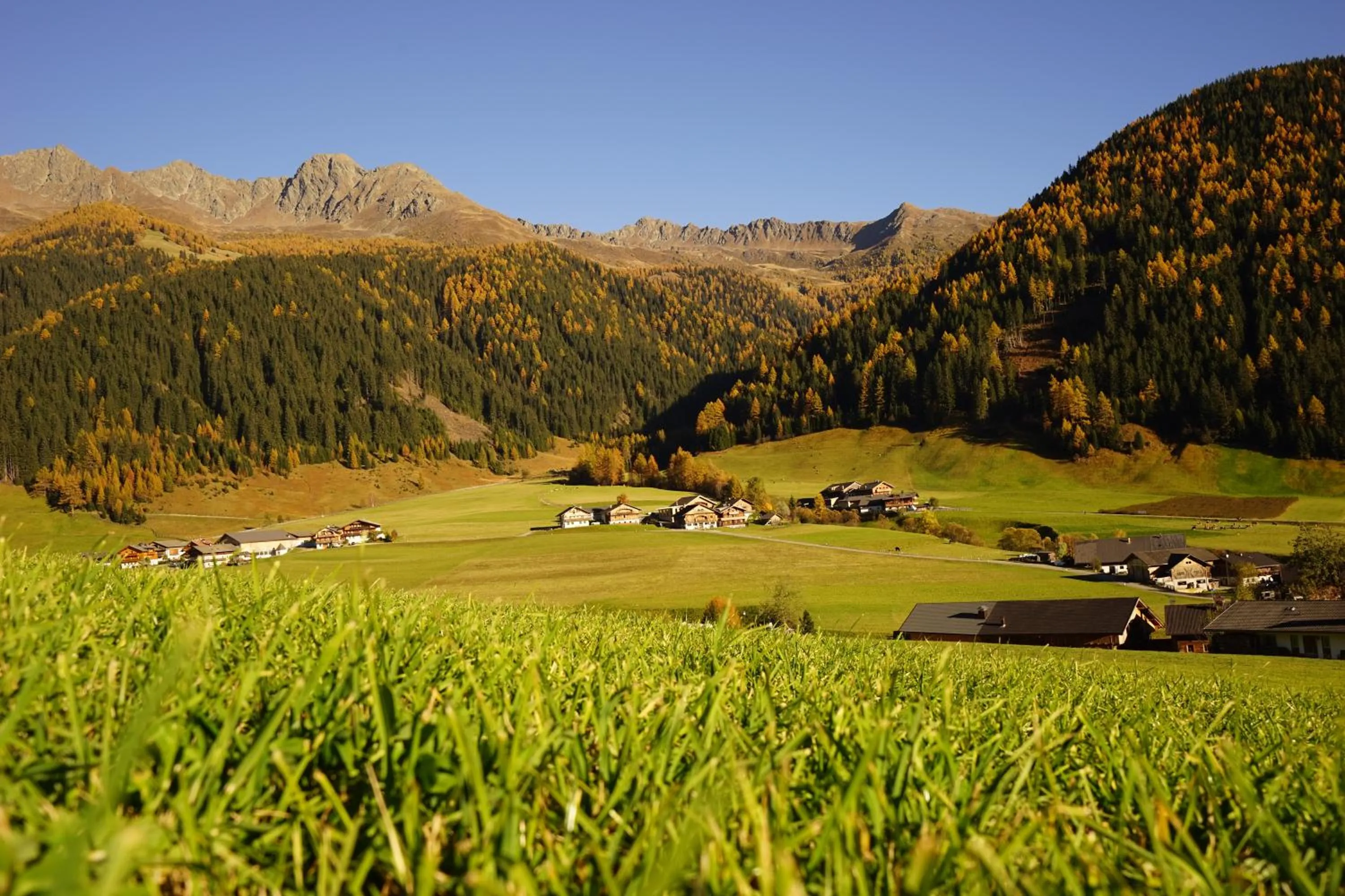 Neighbourhood in Unterhabererhof