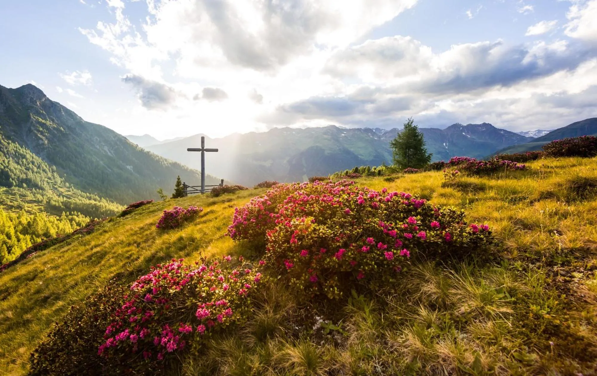 Hiking in Unterhabererhof