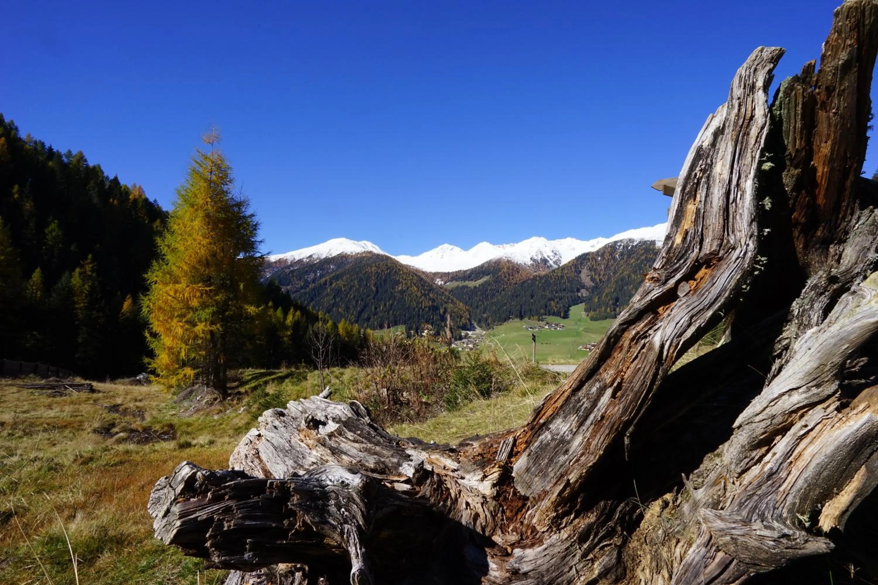 Natural landscape in Unterhabererhof