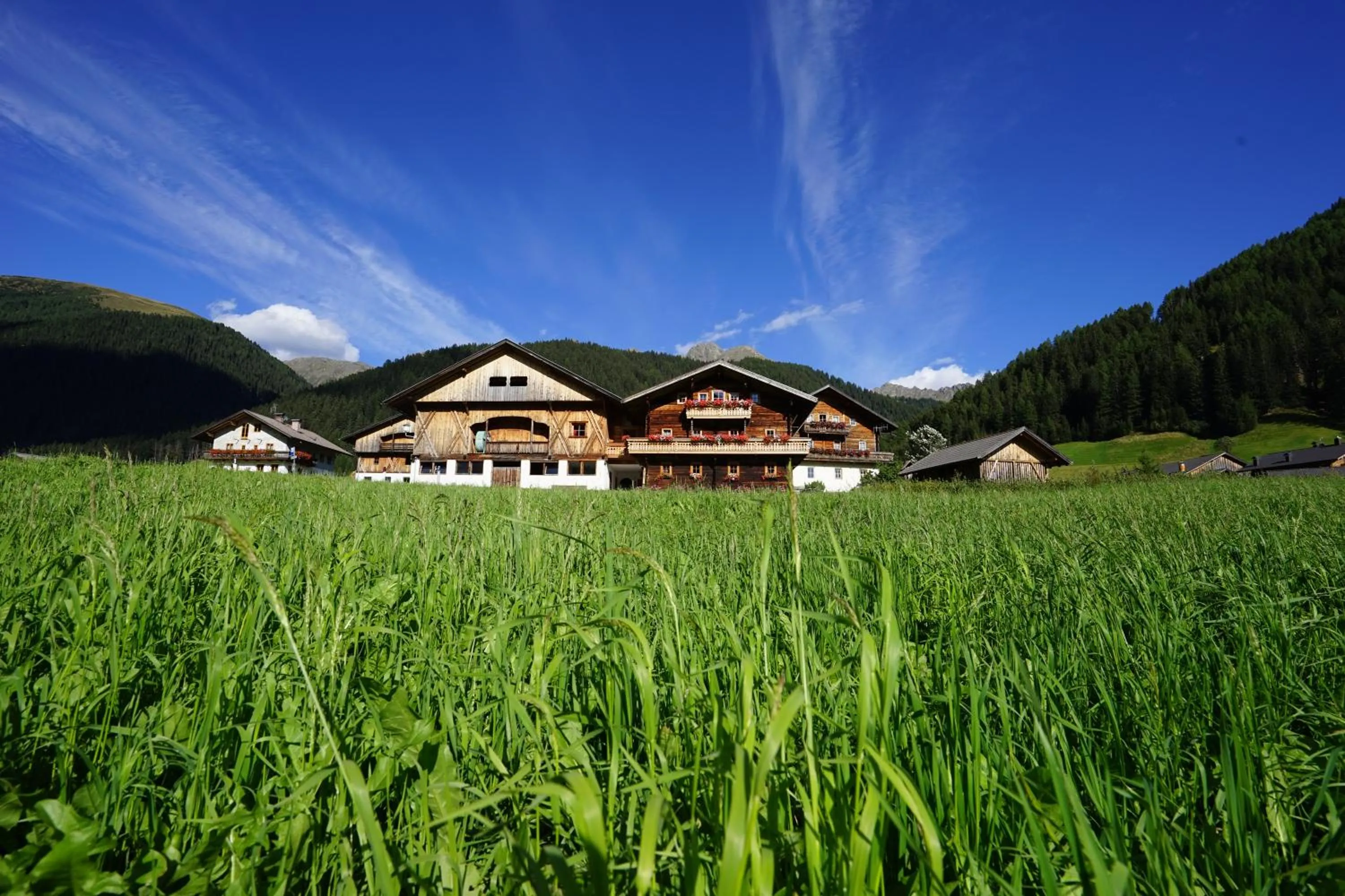 Spring in Unterhabererhof