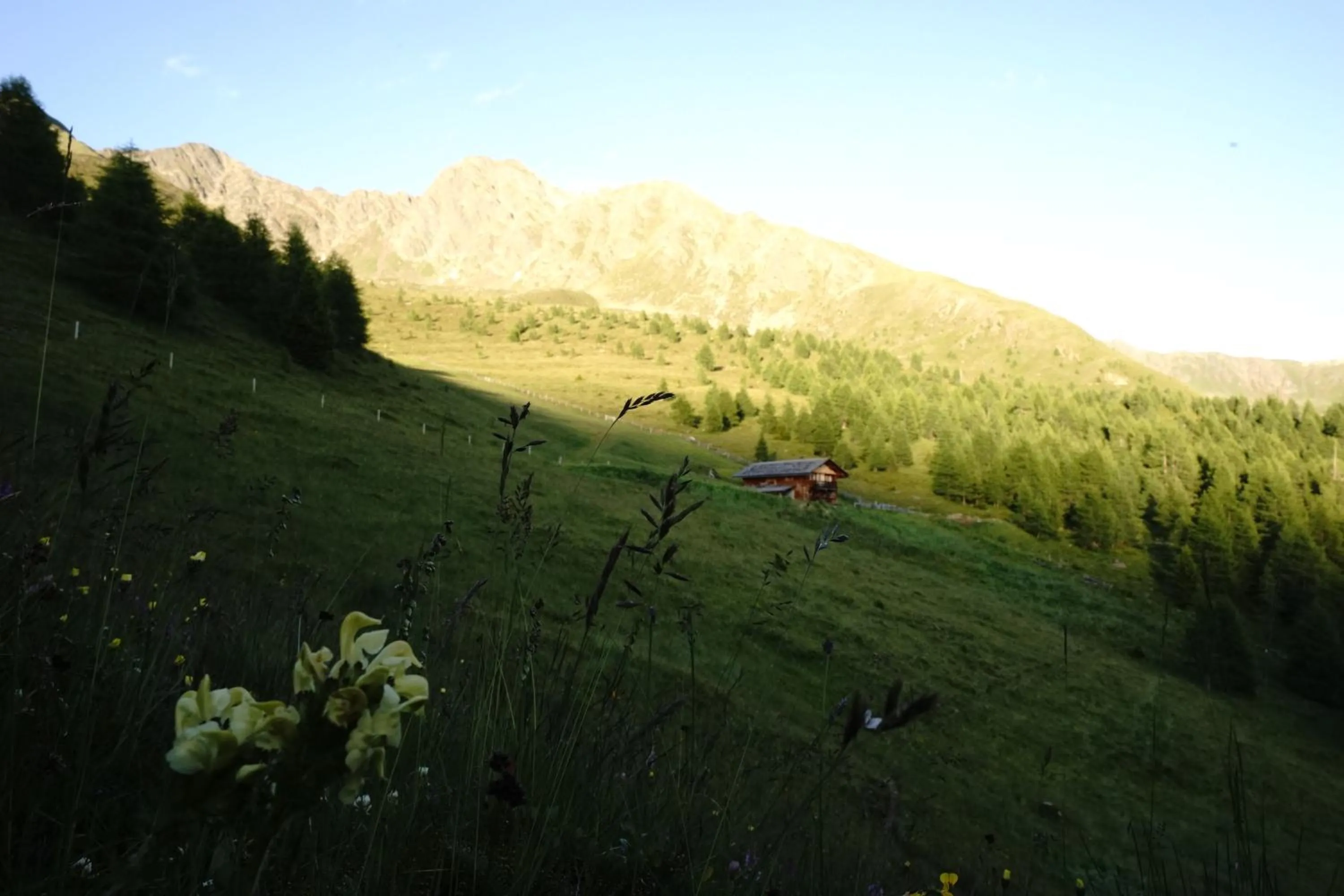 Spring in Unterhabererhof