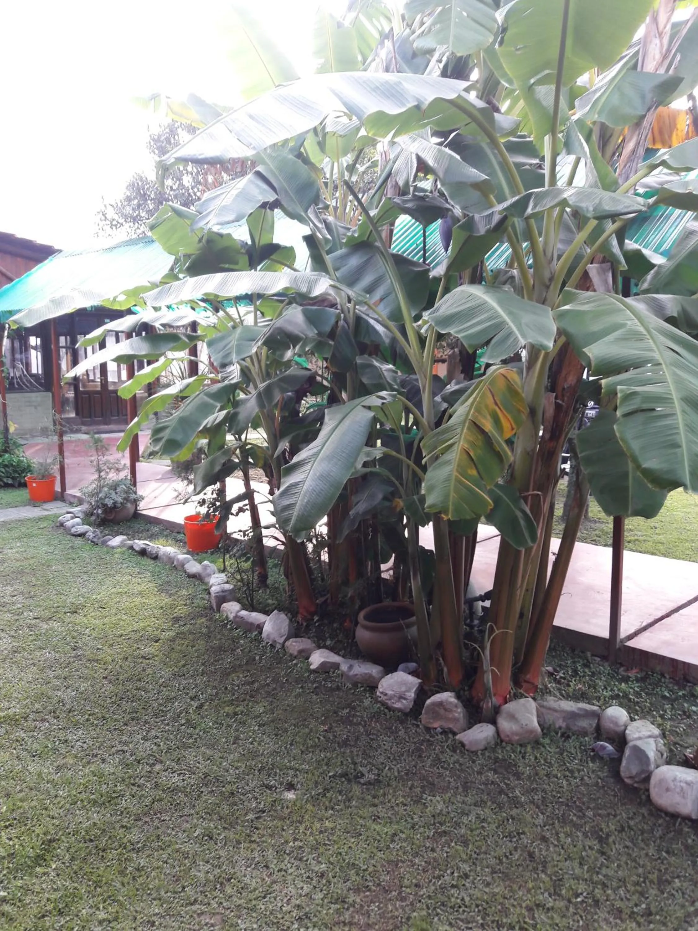 La Casa de Reyes Posada