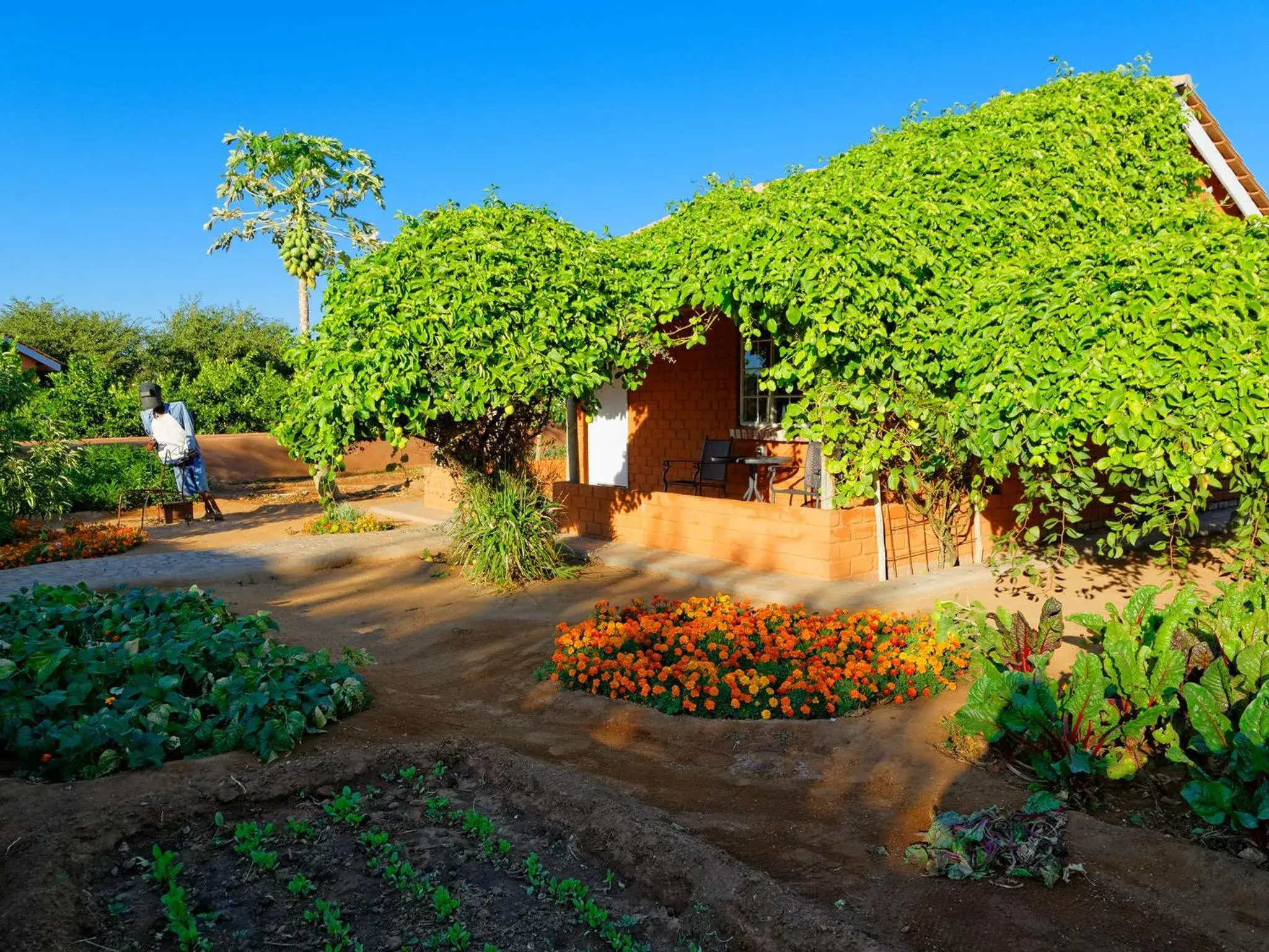 Property building in Gondwana Damara Mopane Lodge Property building in Gondwana Damara Mopane Lodge