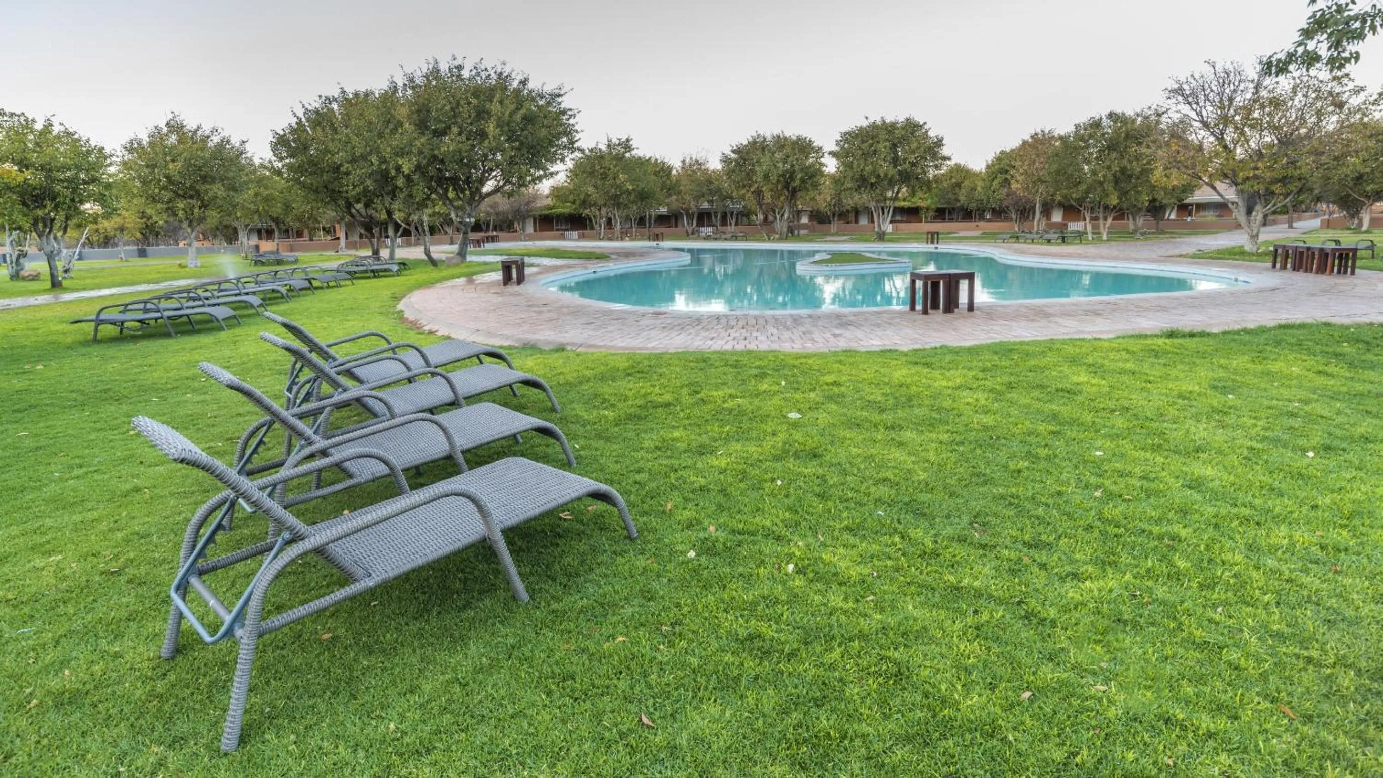 Swimming pool in Gondwana Damara Mopane Lodge