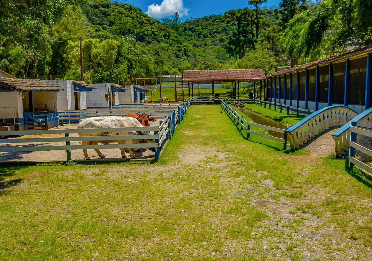 Natural landscape in Vale Encantado - Eco Park & Hotel