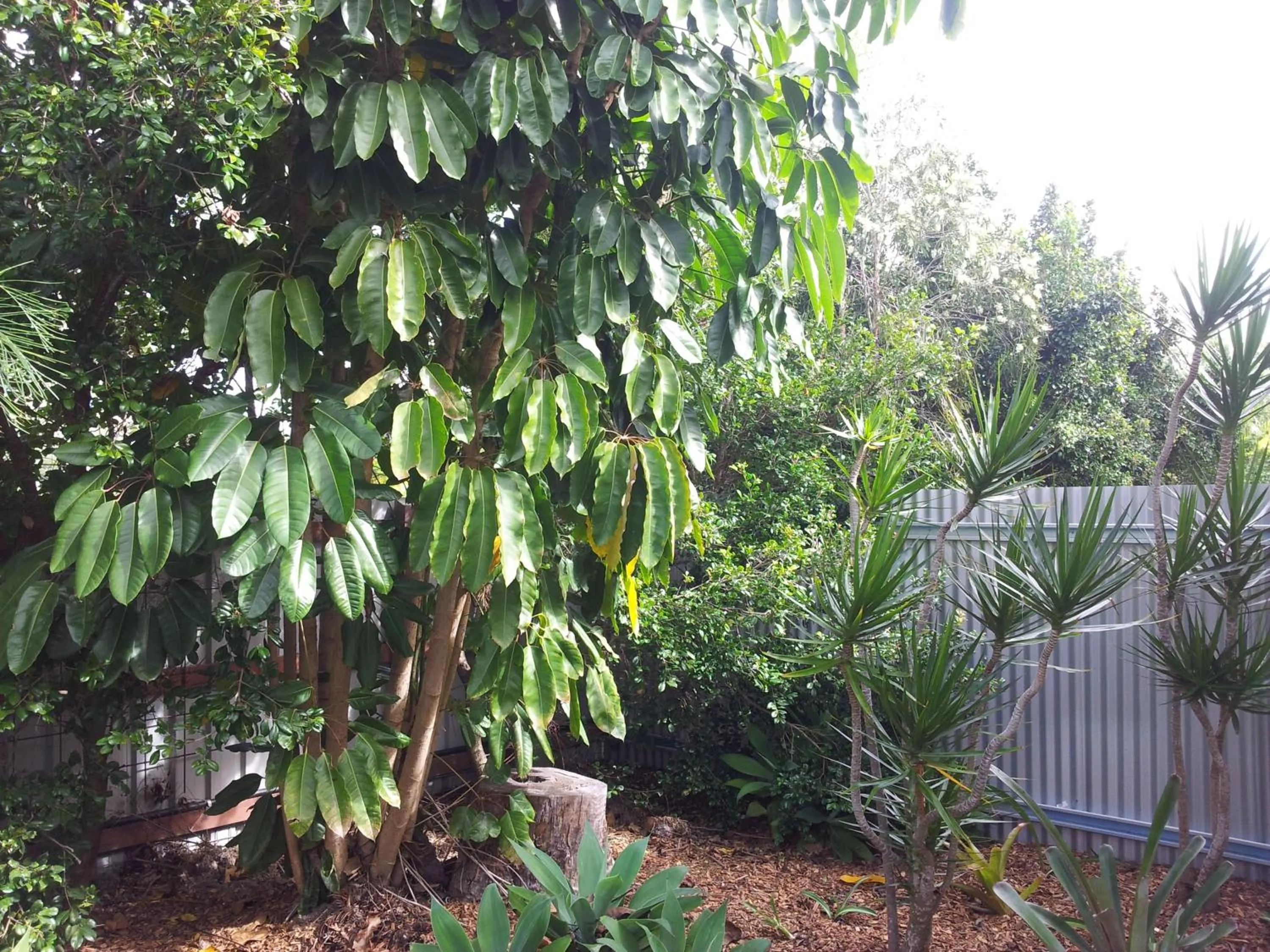 Garden in Bluegrass BnB