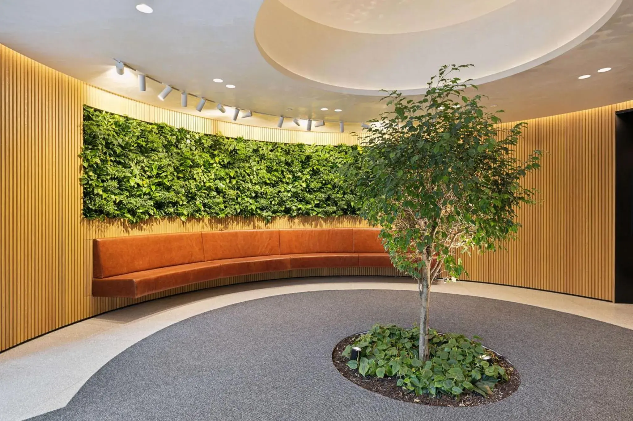 Area and facilities in Placemakr Buzzard Point Area and facilities in Placemakr Buzzard Point