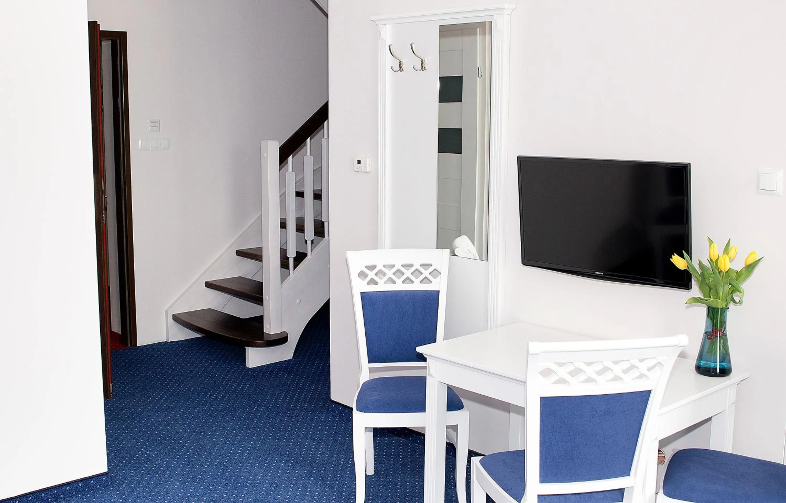 TV and multimedia in Portobello