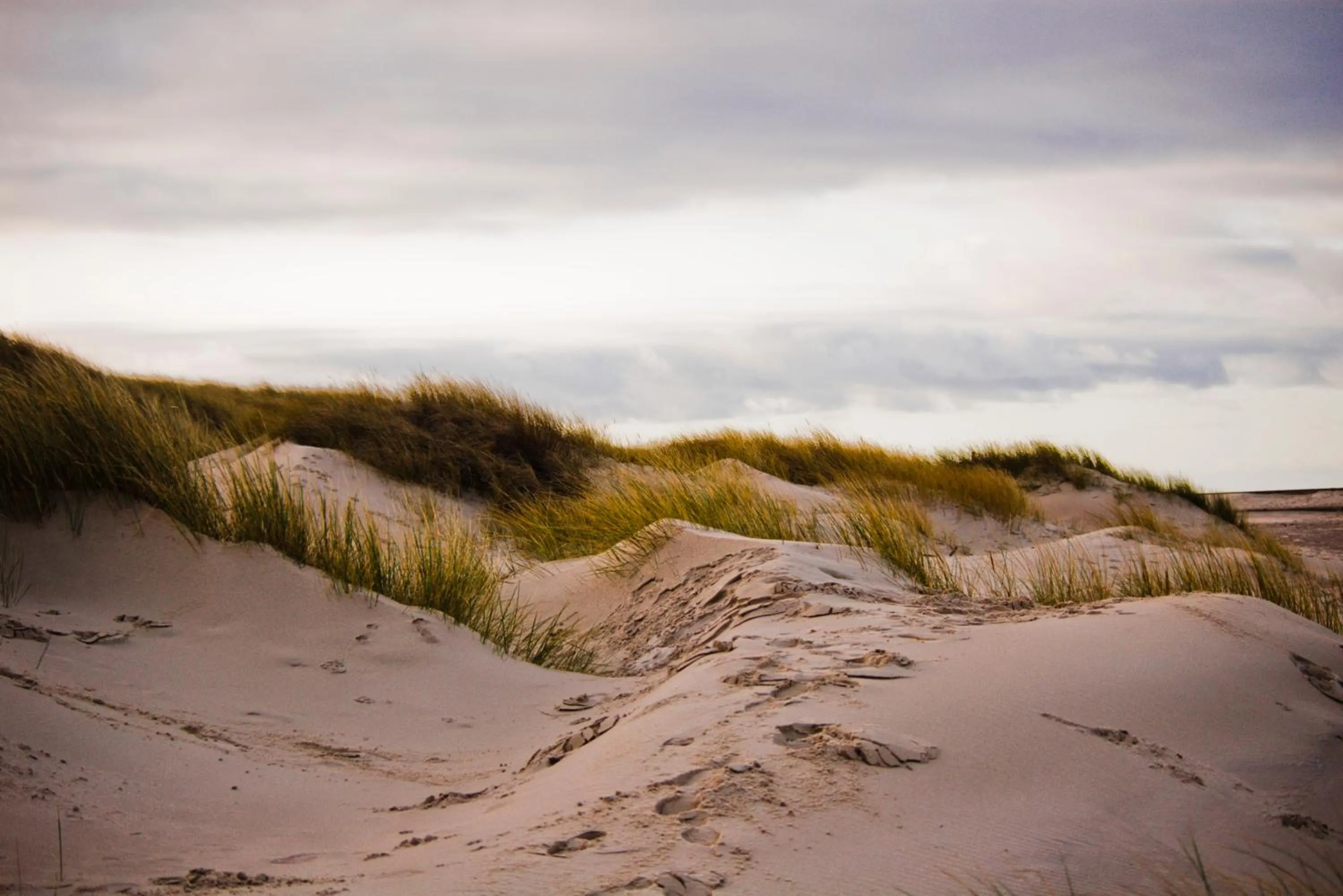 Nearby landmark in Portobello