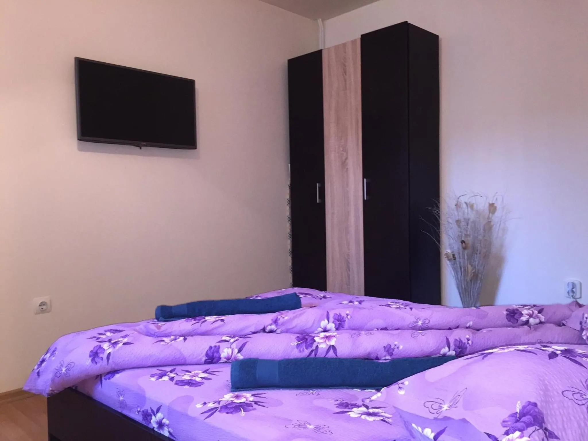Photo of the whole room, Bed in Vivaldi Studios