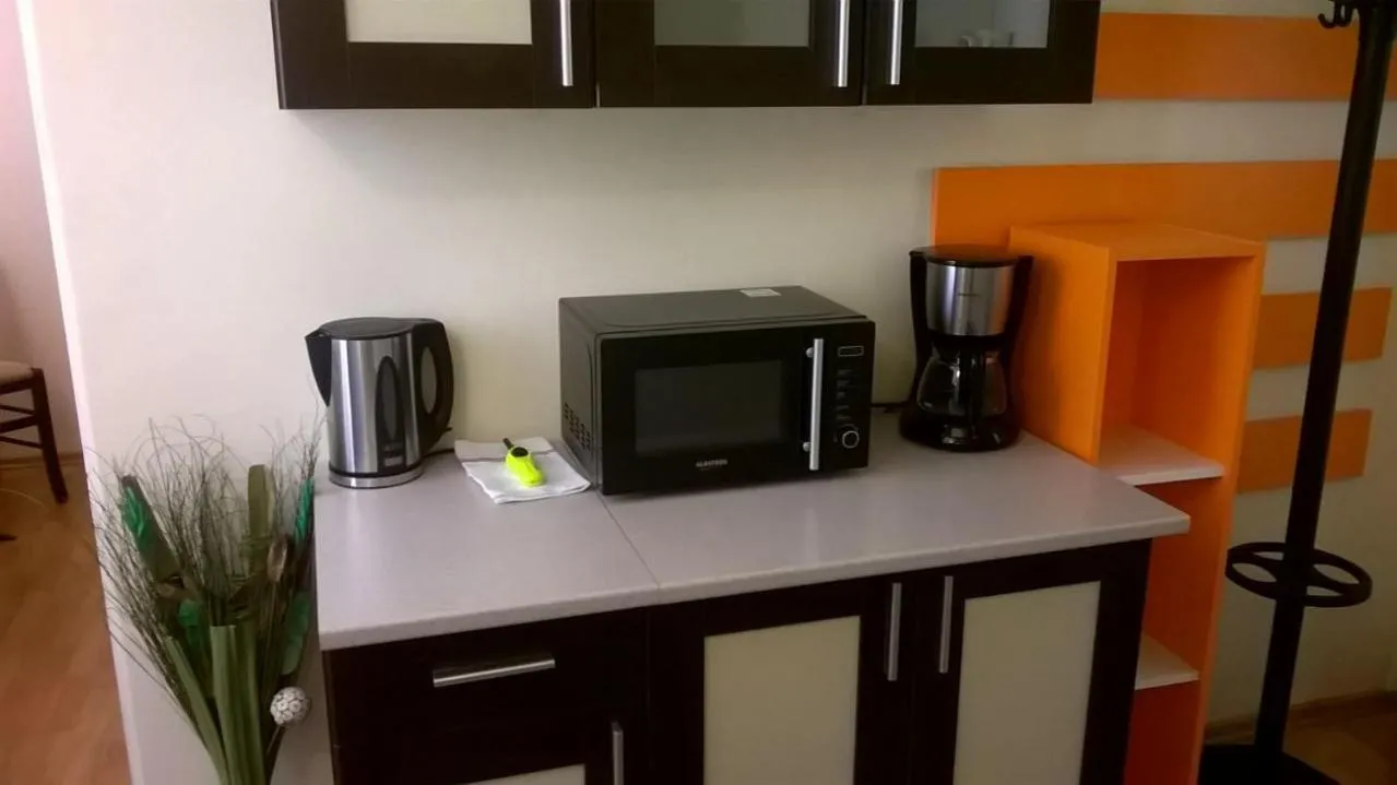 Kitchen or kitchenette in Vivaldi Studios