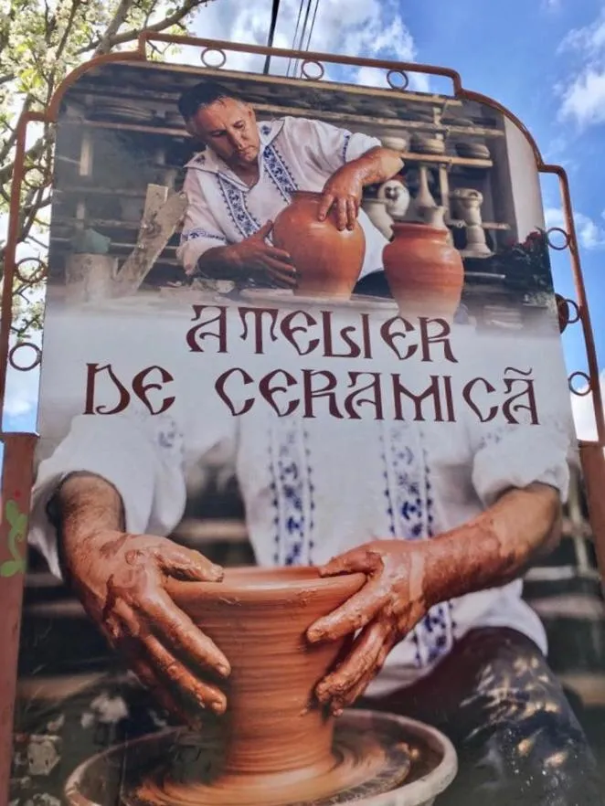 Conacul Paloși