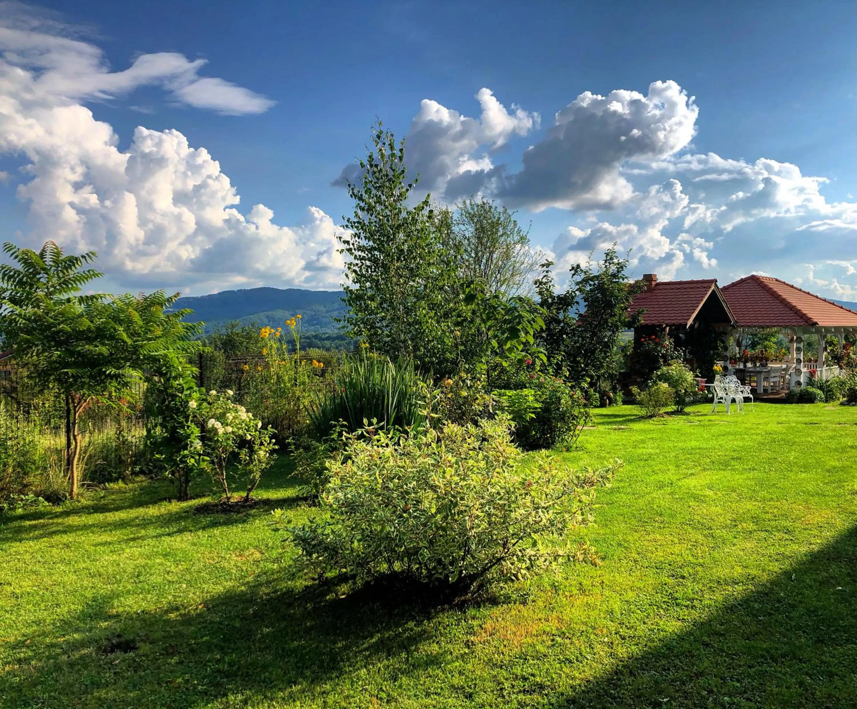 Conacul Paloși