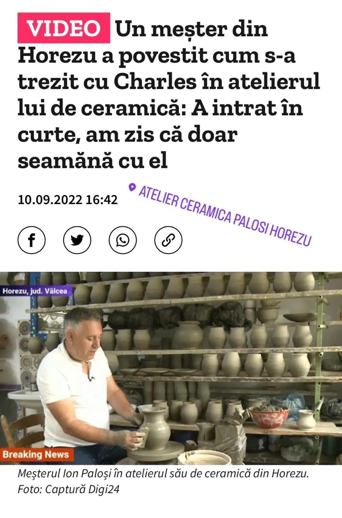 Conacul Paloși