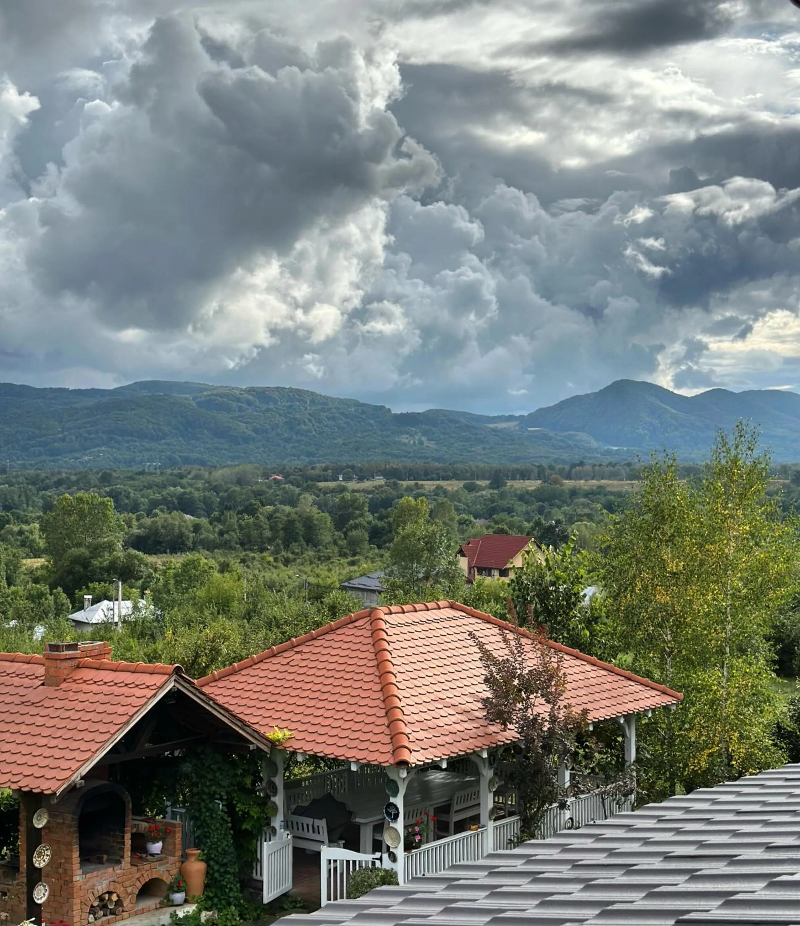 Double Room with Private Bathroom in Conacul Paloși