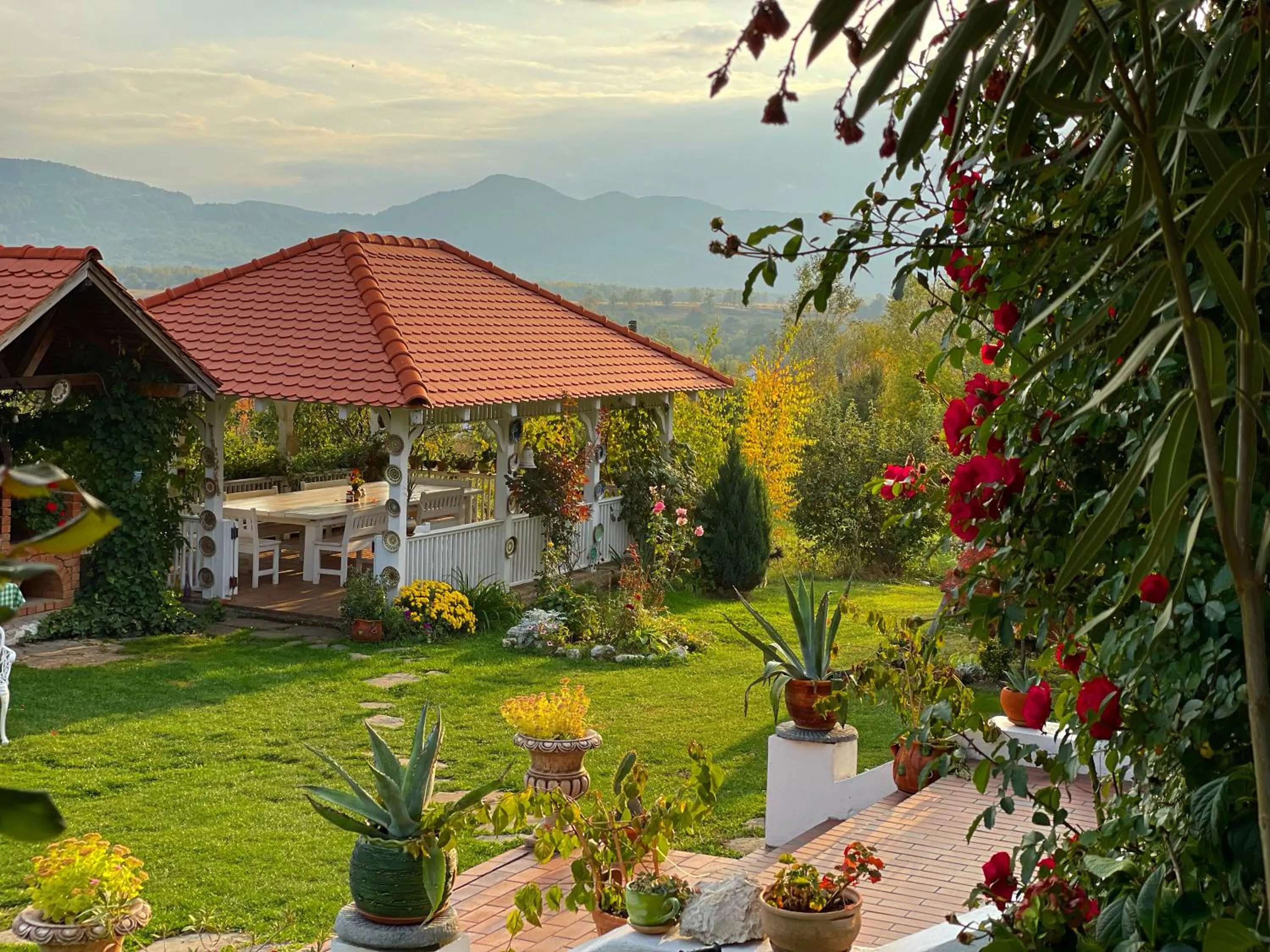 Garden in Conacul Paloși