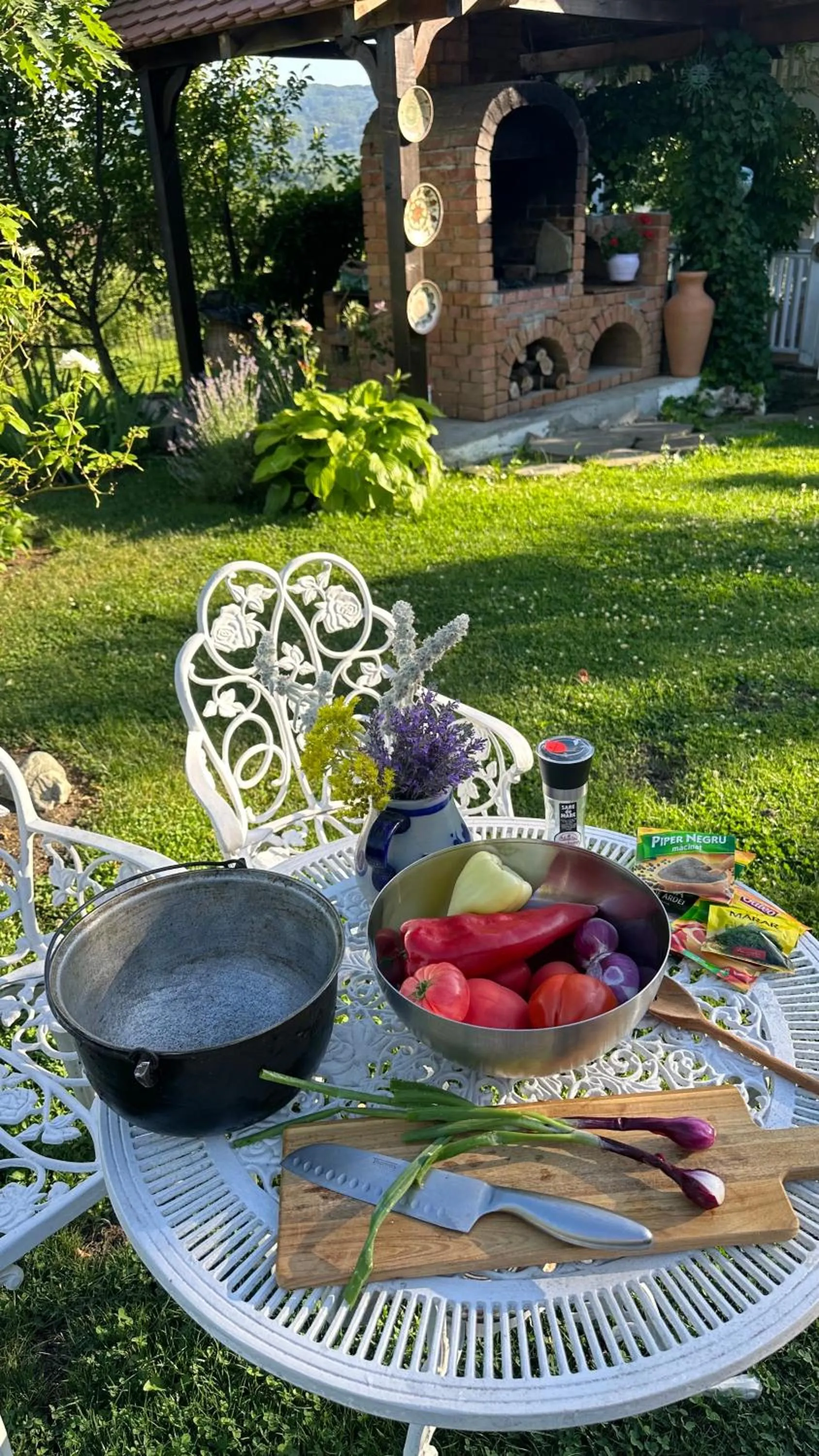 Conacul Paloși