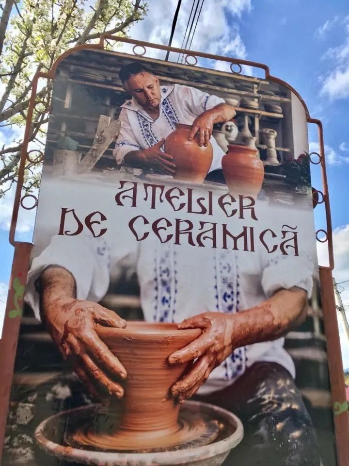 Conacul Paloși