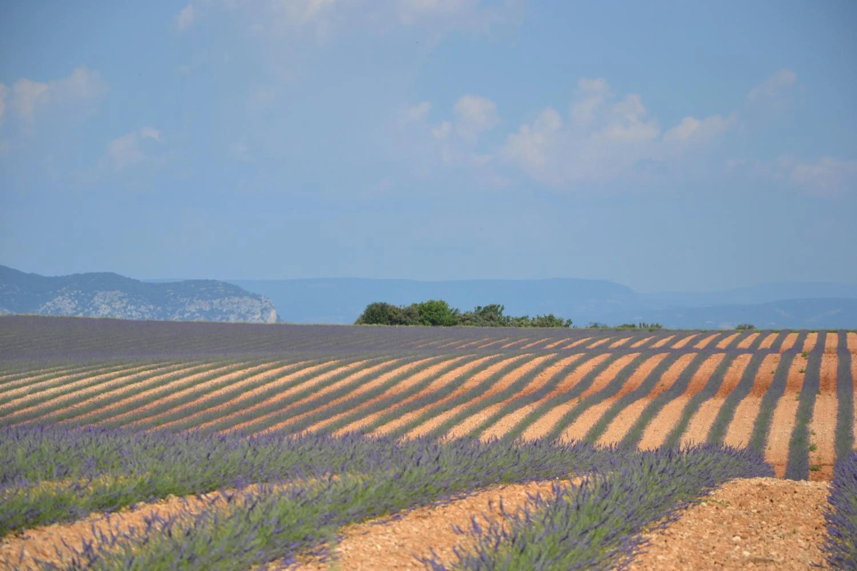 View (from property/room) in Les Terrasses de Valensole