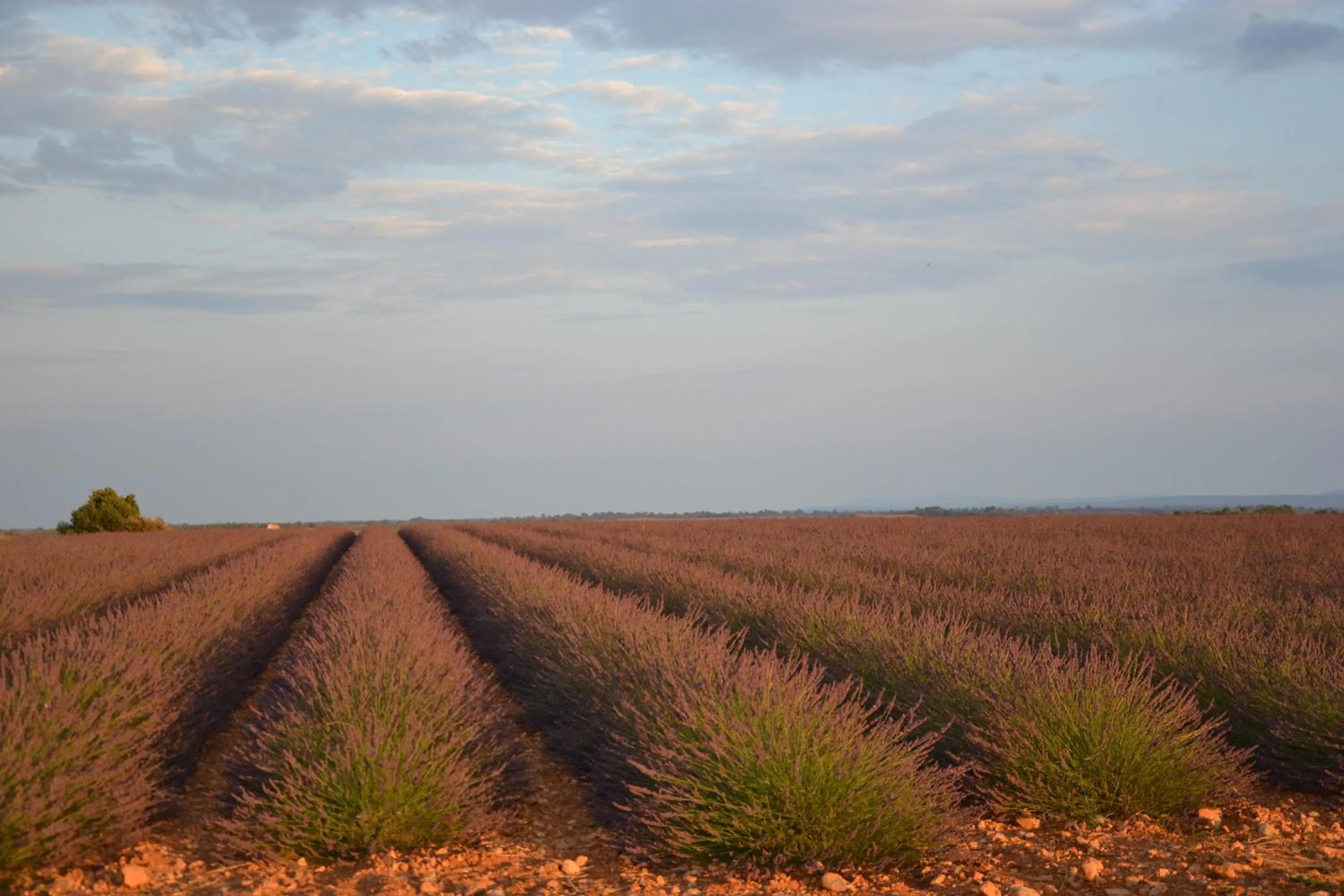 Nearby landmark in Les Terrasses de Valensole