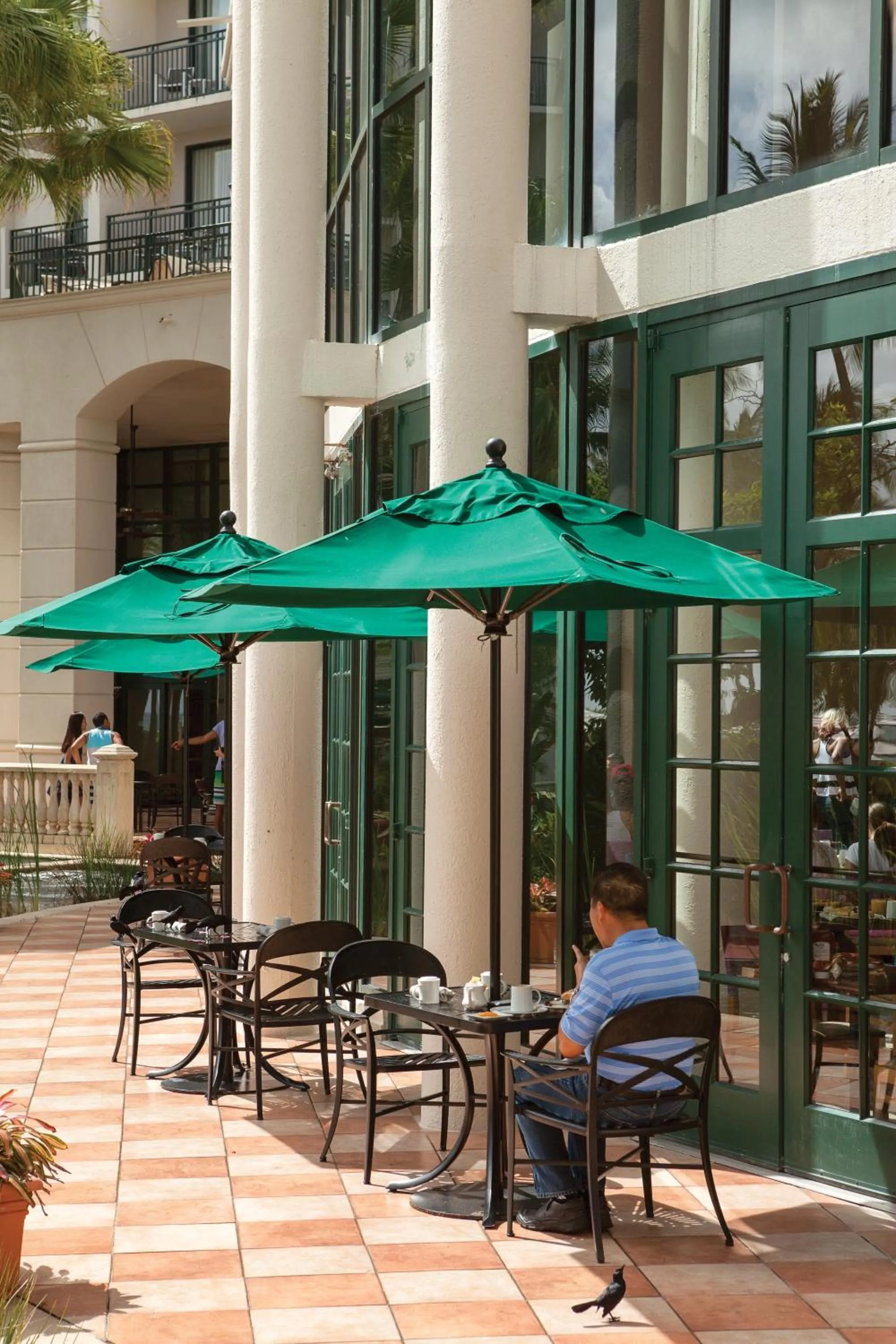 Restaurant/places to eat in Margaritaville Vacation Club - Rio Mar