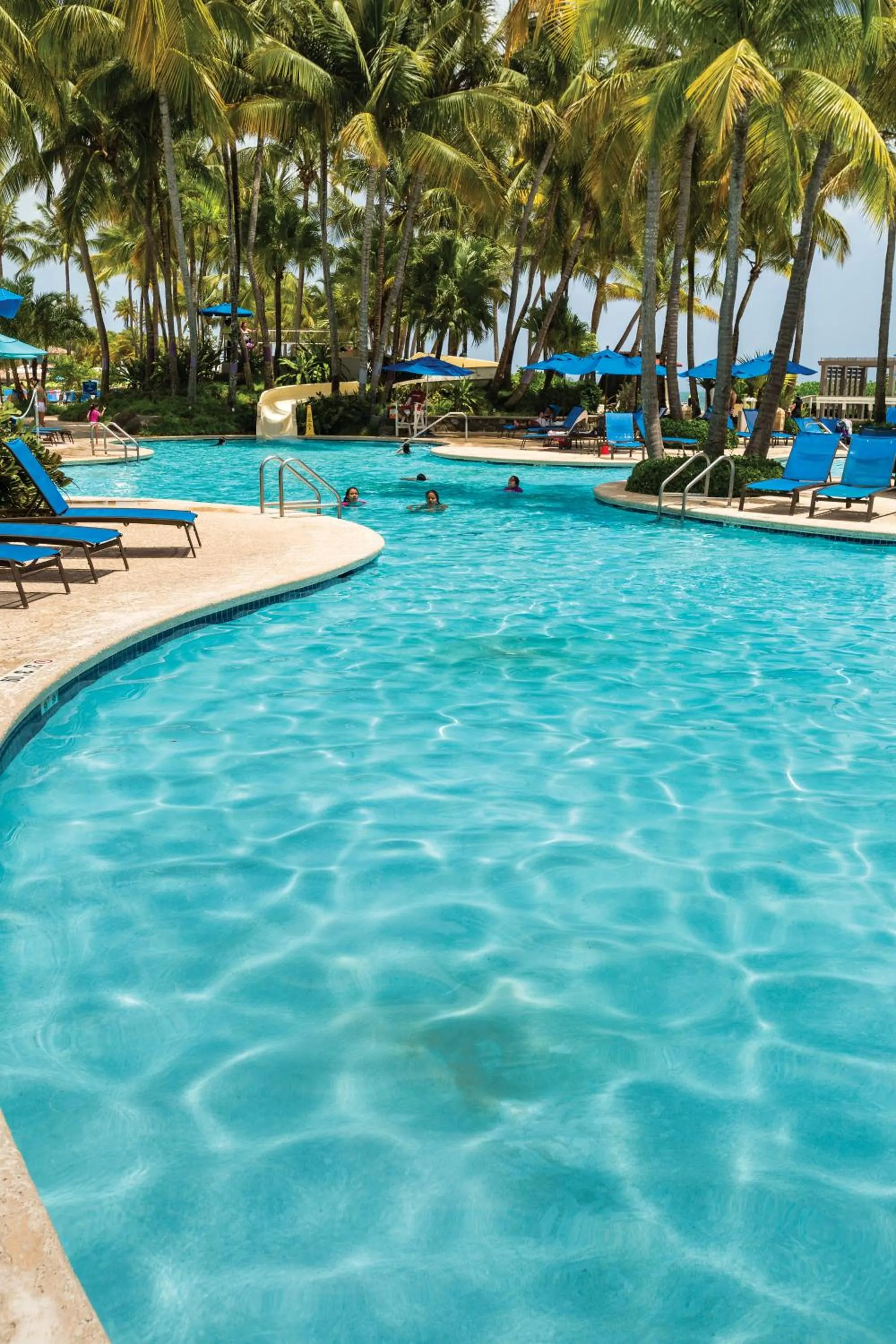 Swimming pool in Margaritaville Vacation Club - Rio Mar