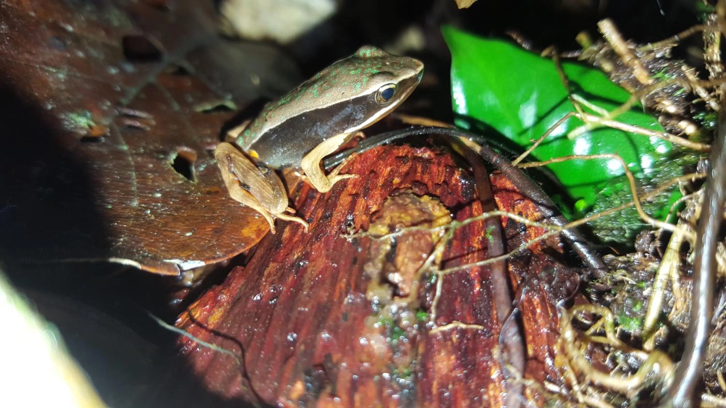 Activities in Mirador Prendas