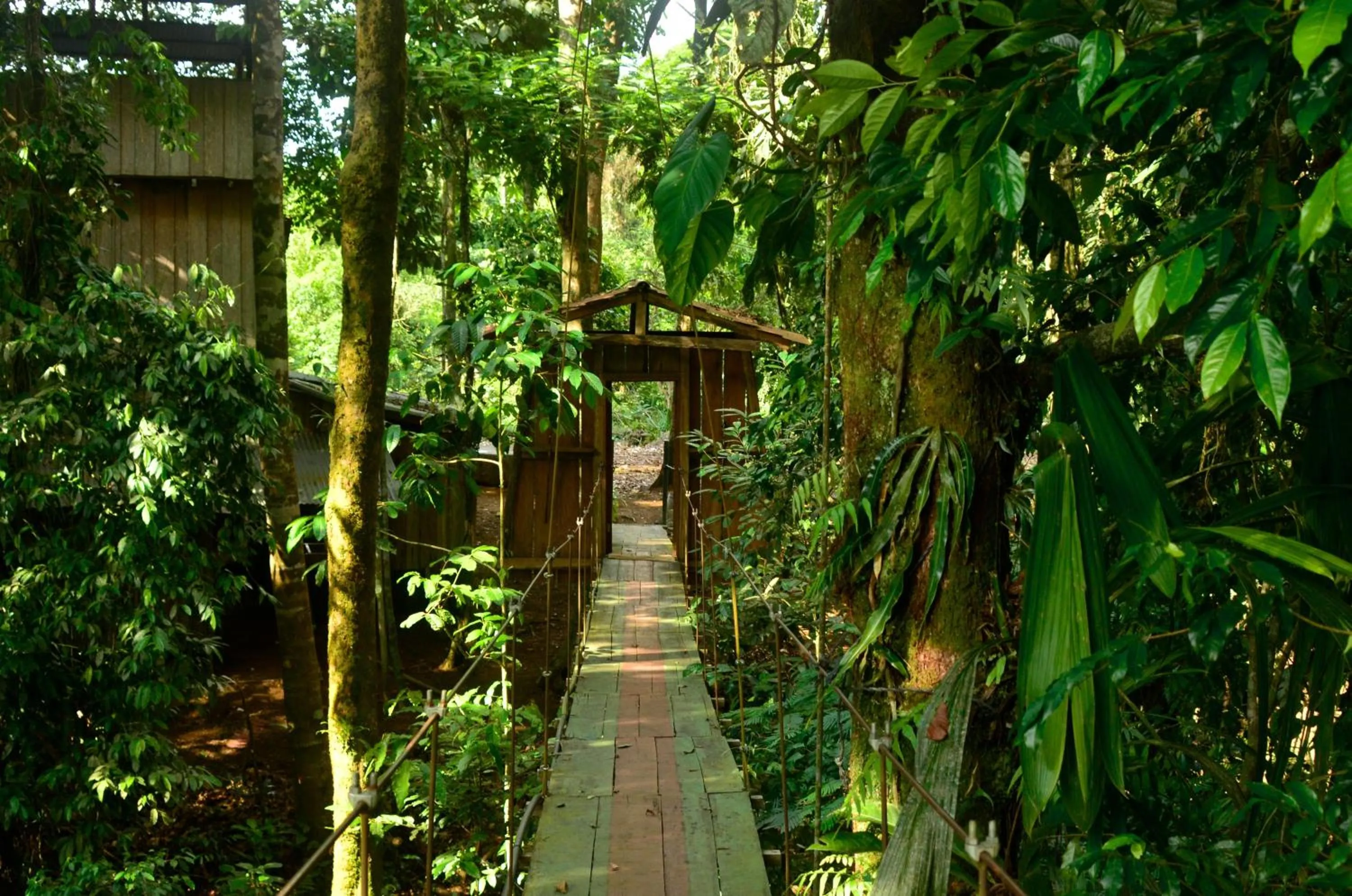 Area and facilities in Mirador Prendas