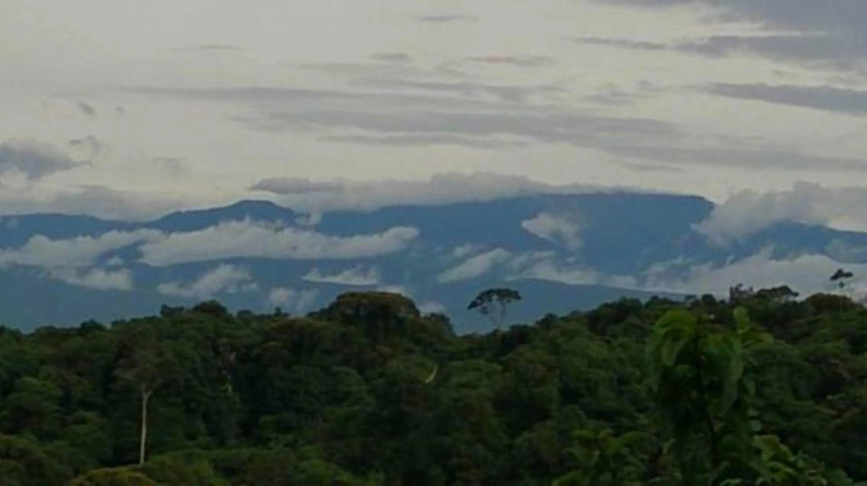 Natural landscape in Mirador Prendas