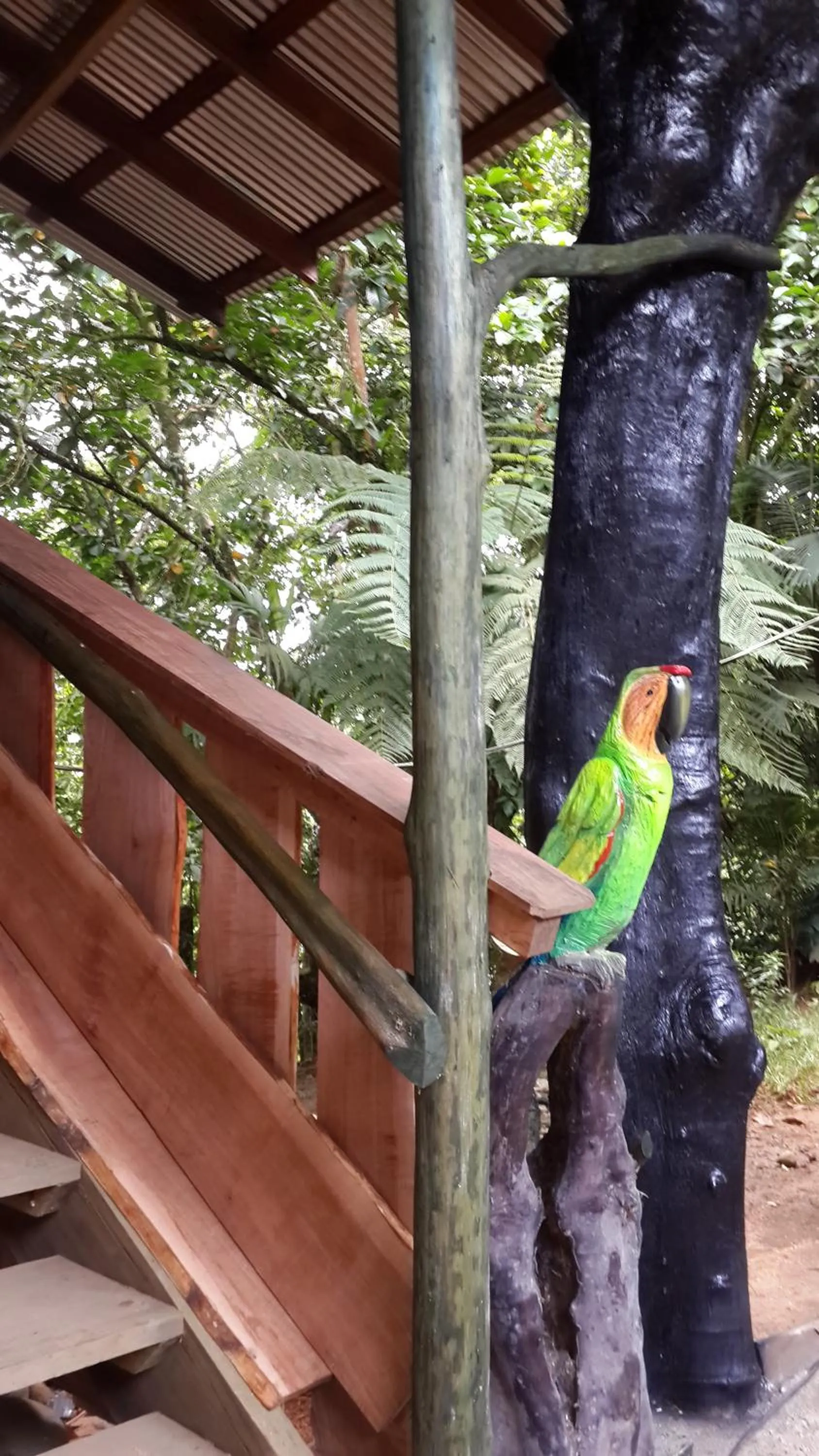 Area and facilities in Mirador Prendas