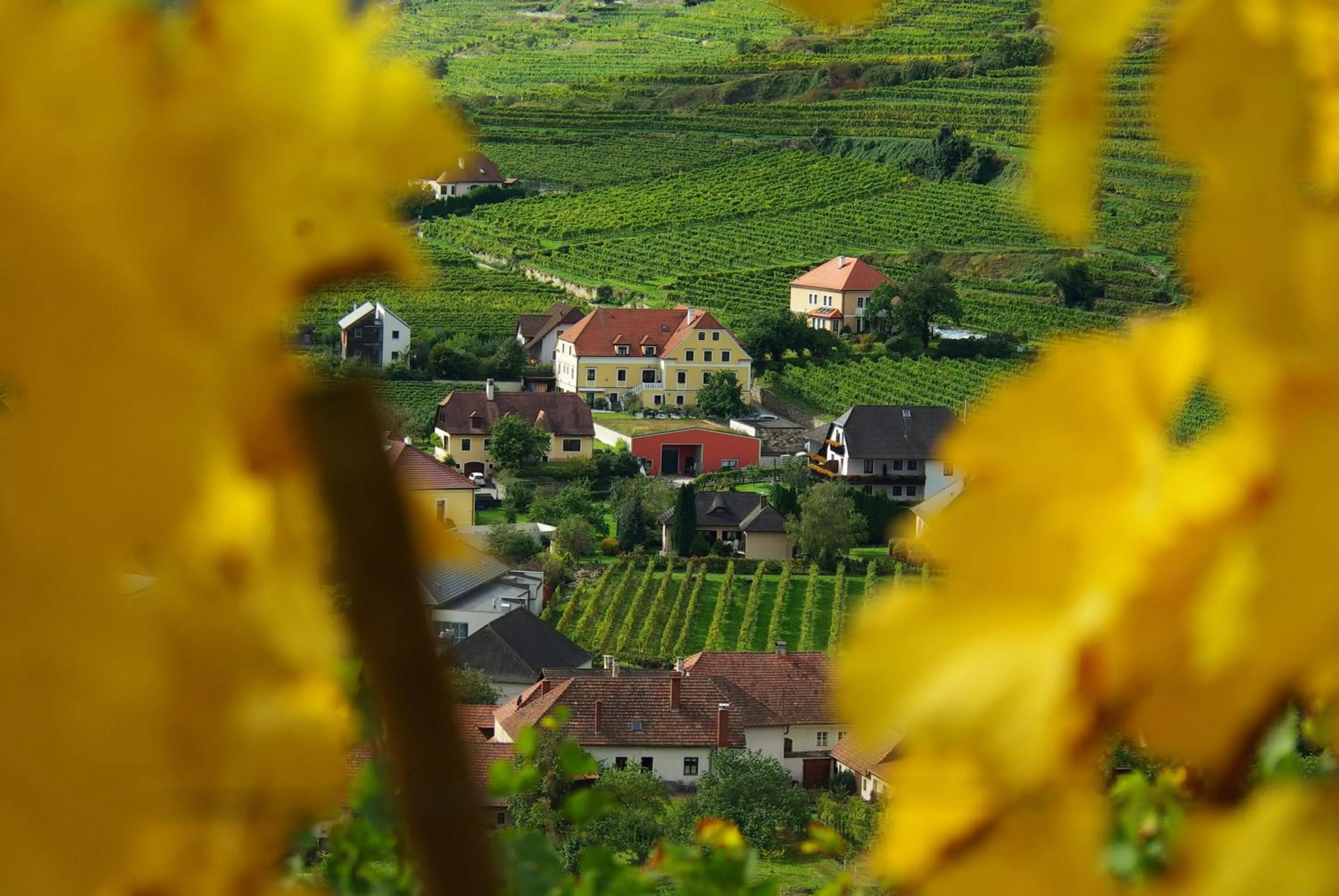 Hotel garni Weinberghof & Weingut Lagler