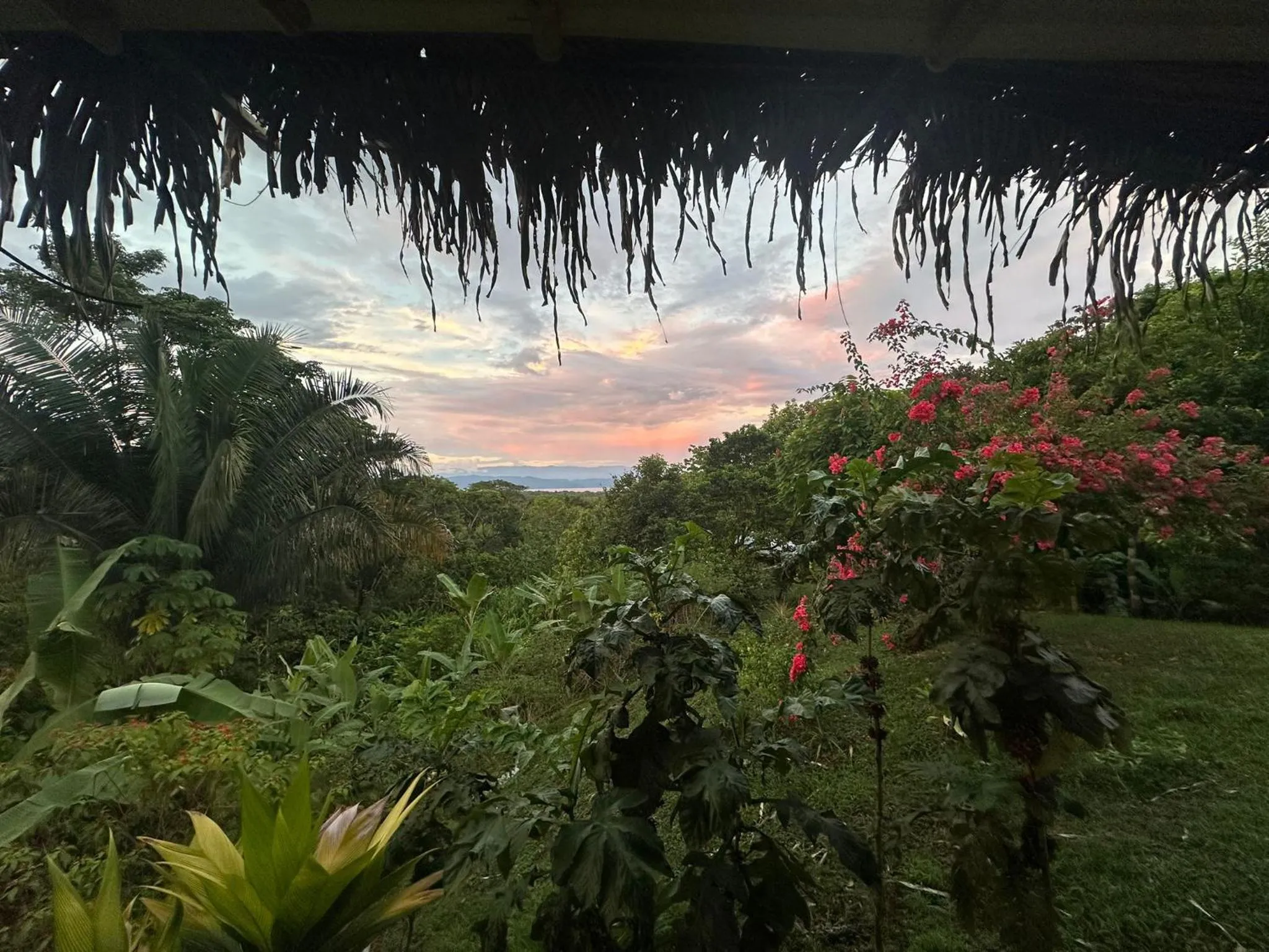 Natural landscape in El Cerrito