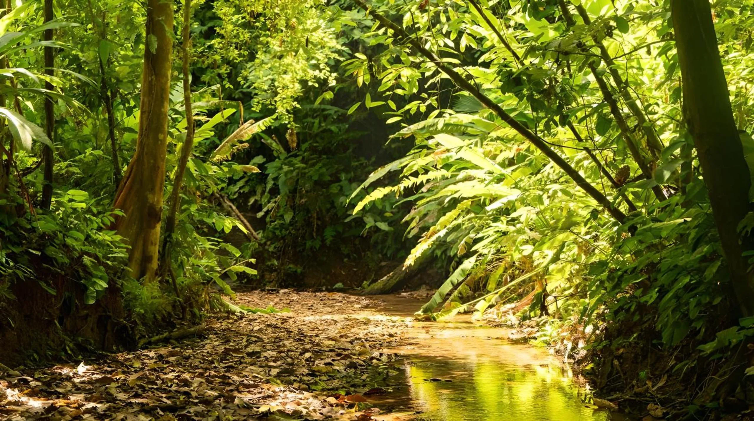 Natural landscape in El Cerrito