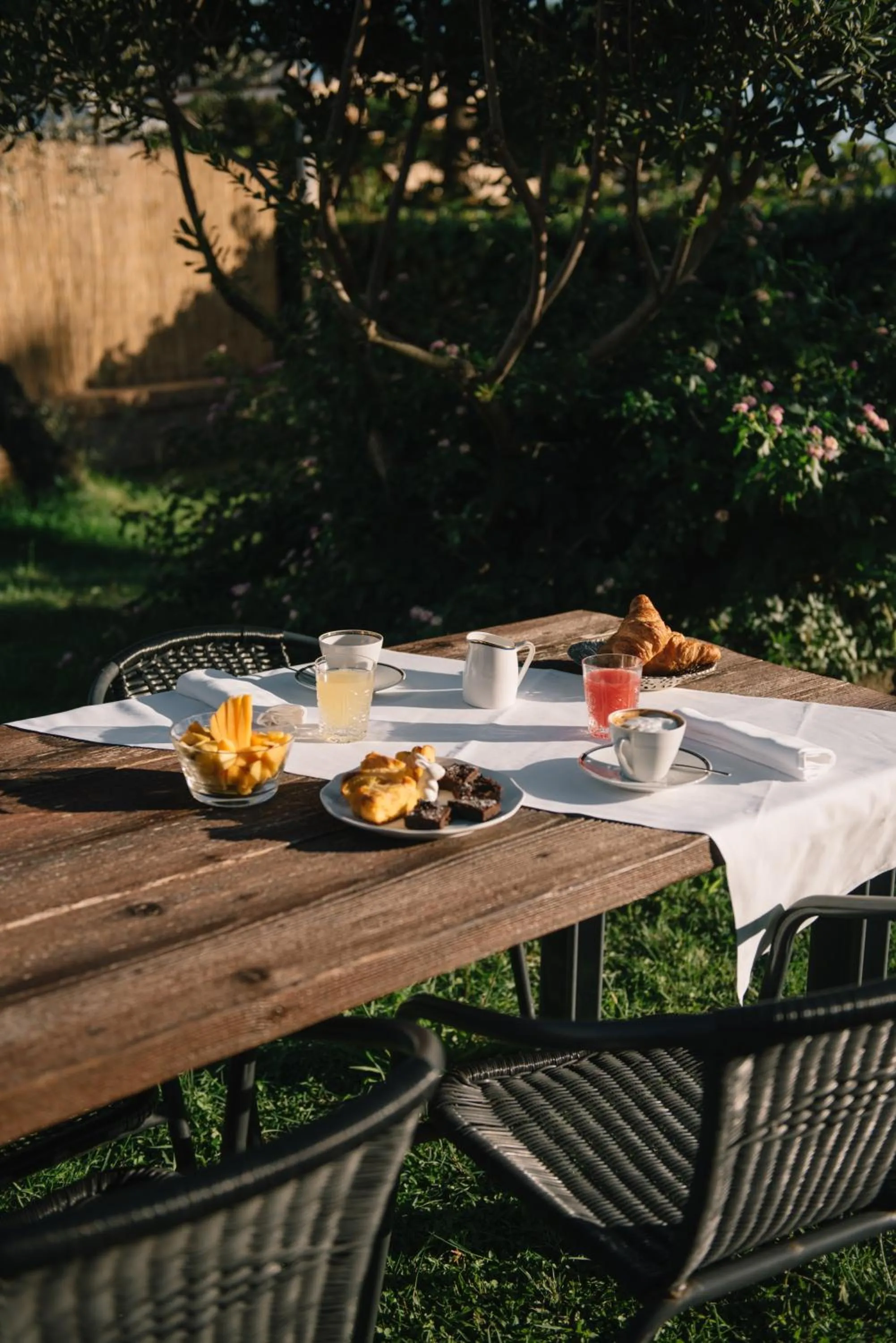 Garden in Mami Sabaudia Hotel