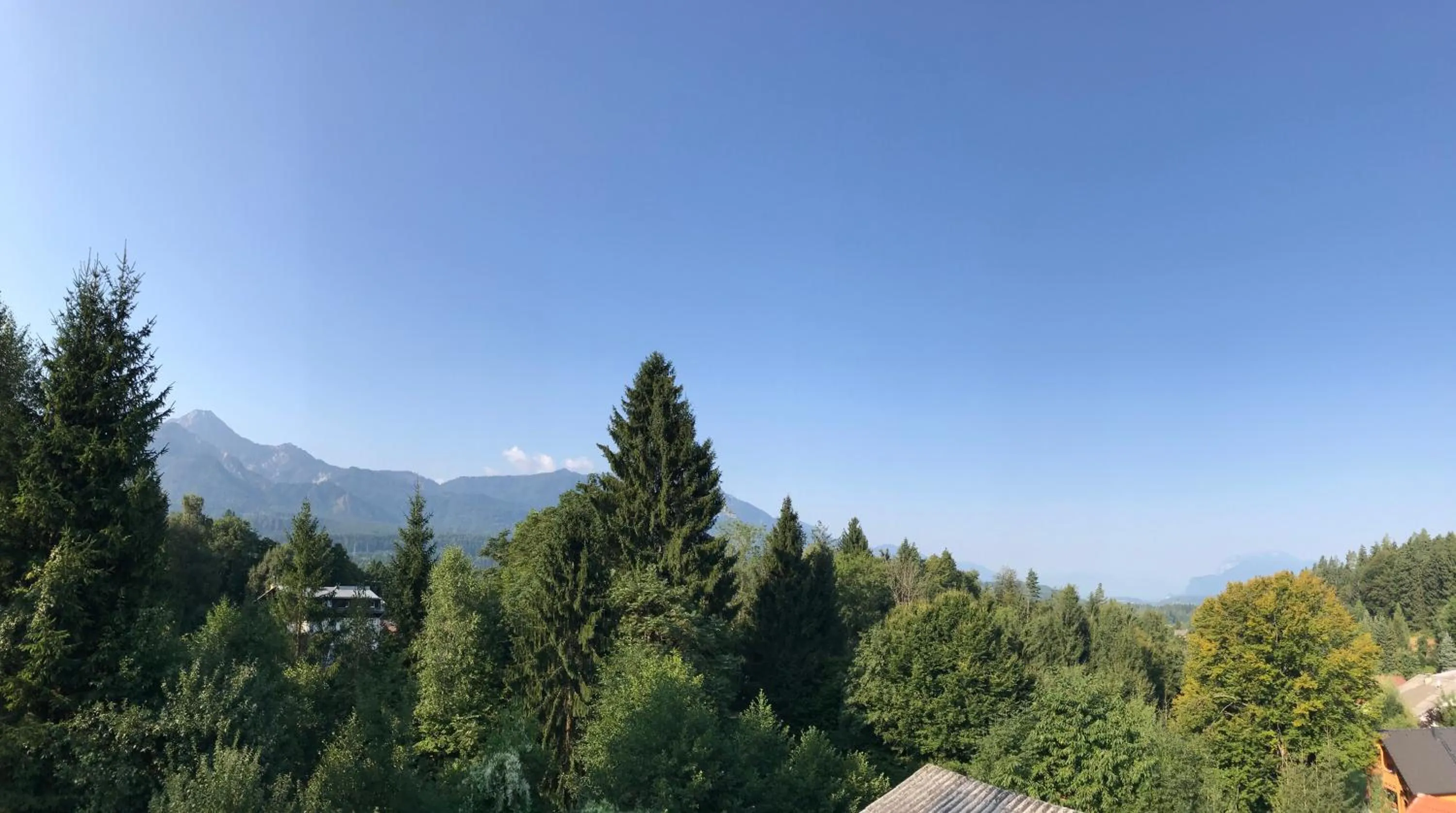 Garden in La Irmania Pension